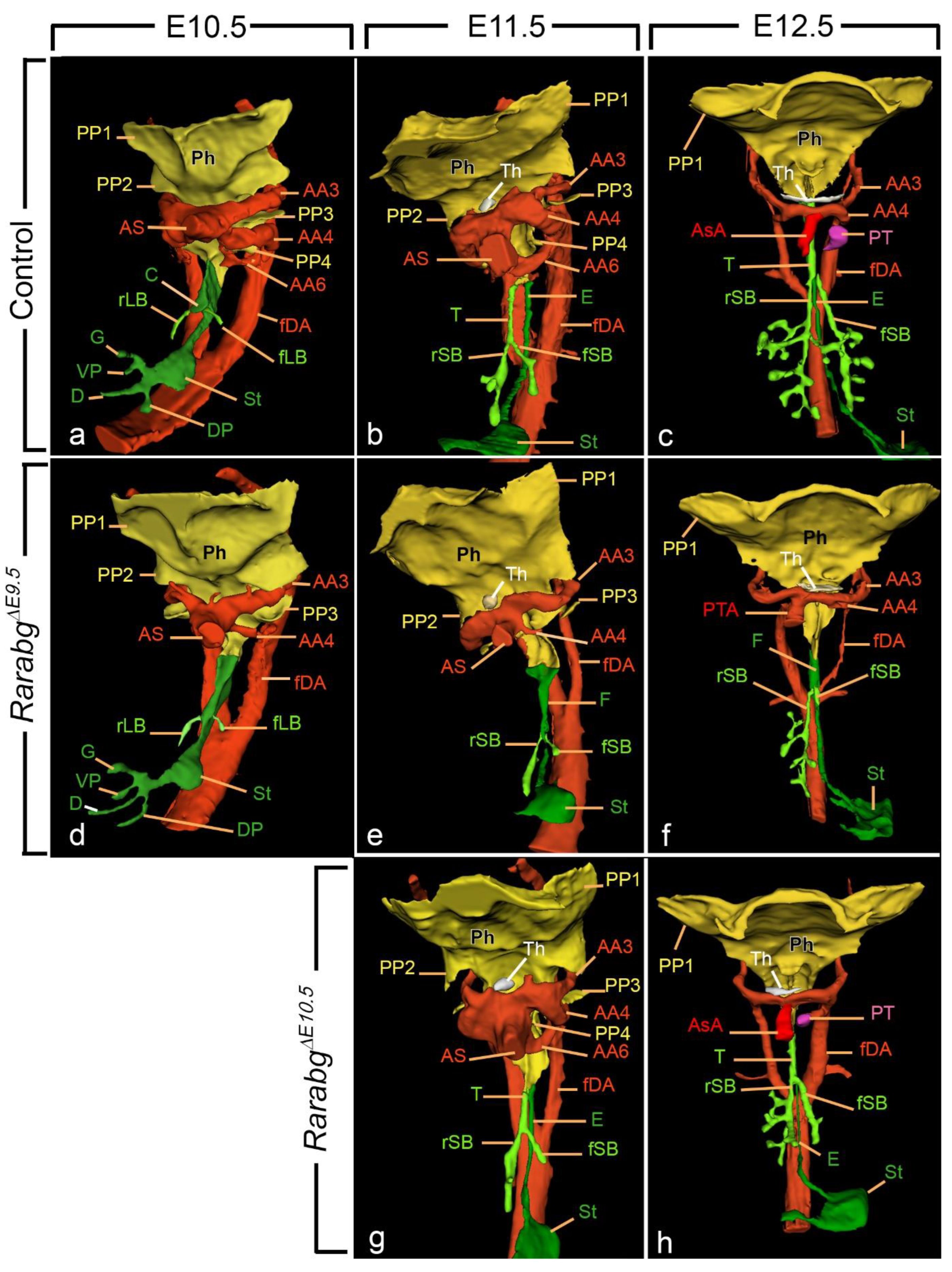 Biomedicines 11 00198 g003 Biomedicines 11 00198 g003