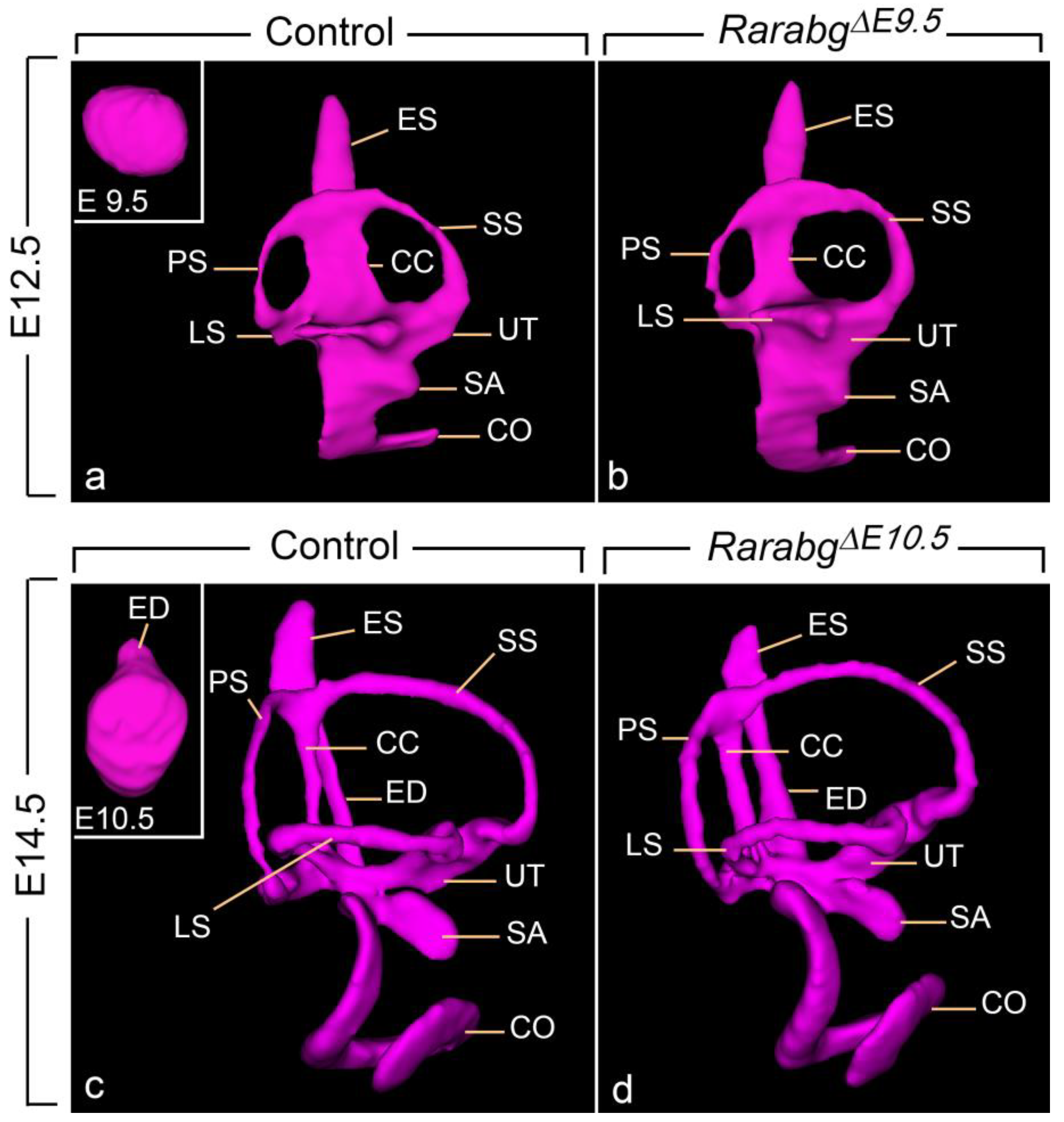 Biomedicines 11 00198 g008 Biomedicines 11 00198 g008
