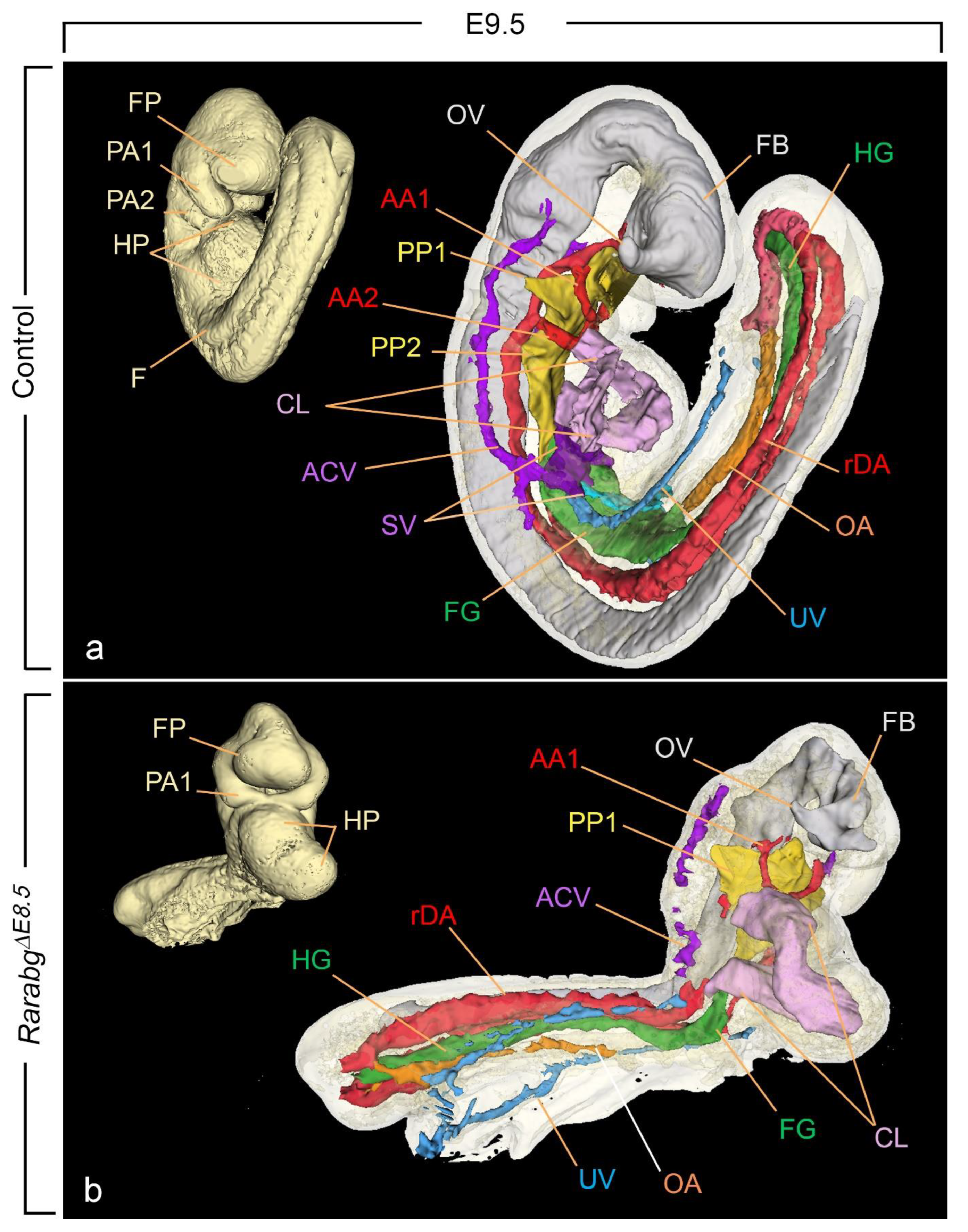 Biomedicines 11 00198 g009 Biomedicines 11 00198 g009