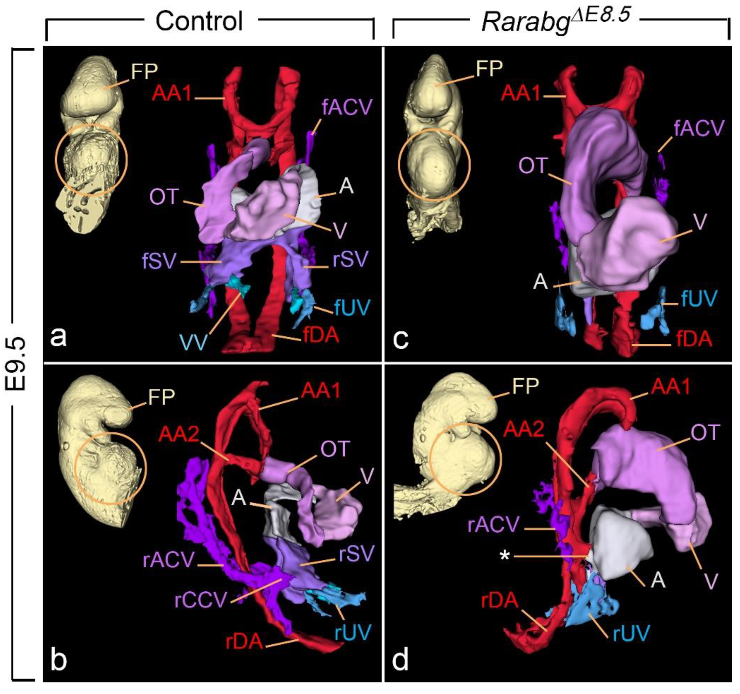 Biomedicines 11 00198 g010 Biomedicines 11 00198 g010