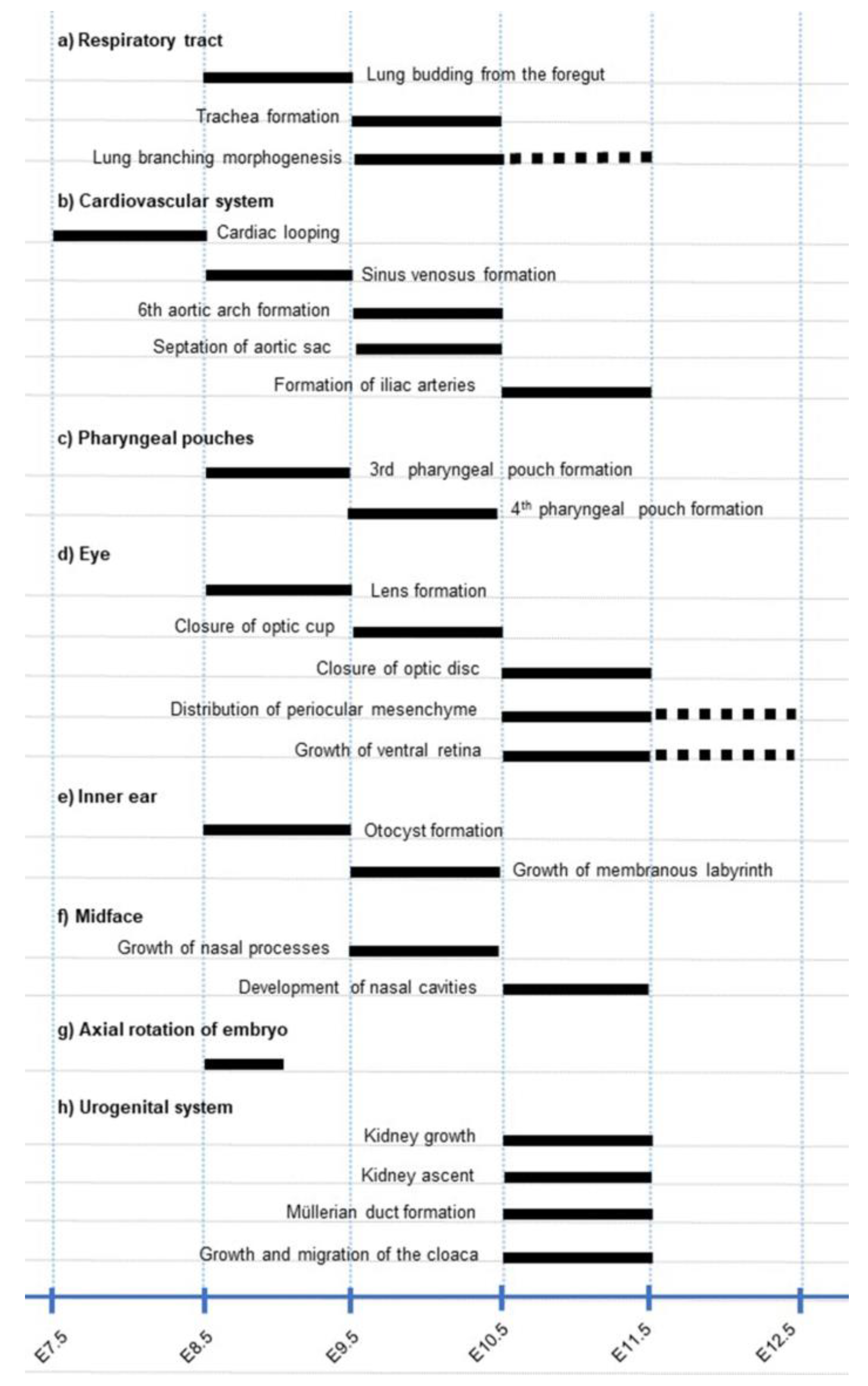 Biomedicines 11 00198 g012 Biomedicines 11 00198 g012