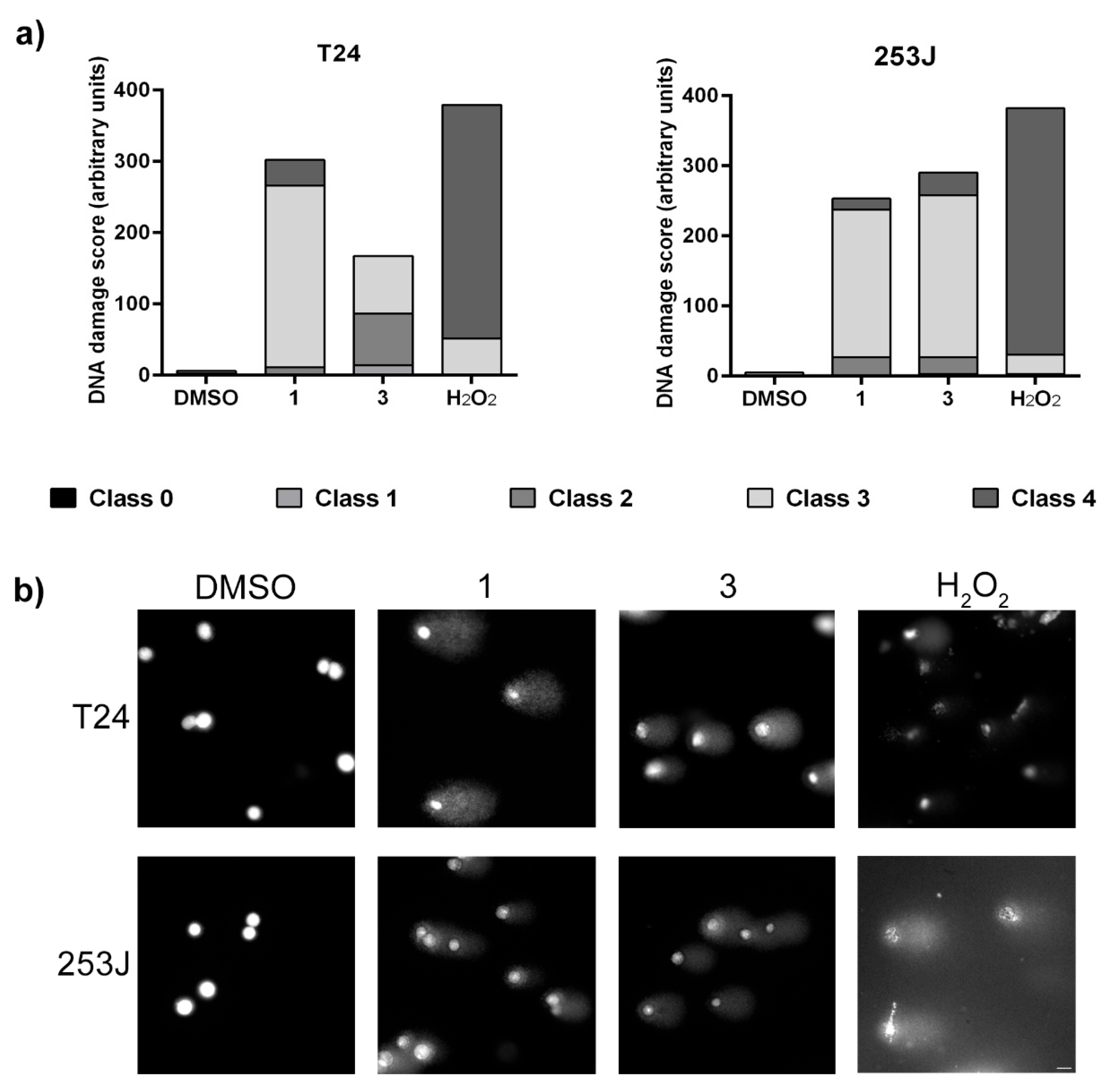 Biomedicines 11 00199 g008