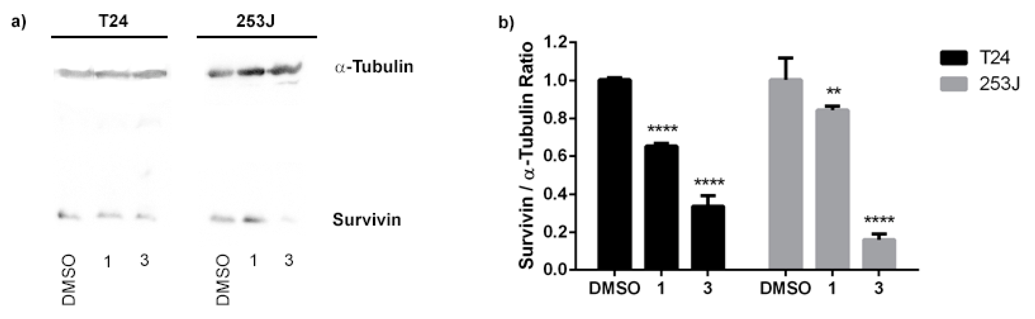 Biomedicines 11 00199 g010