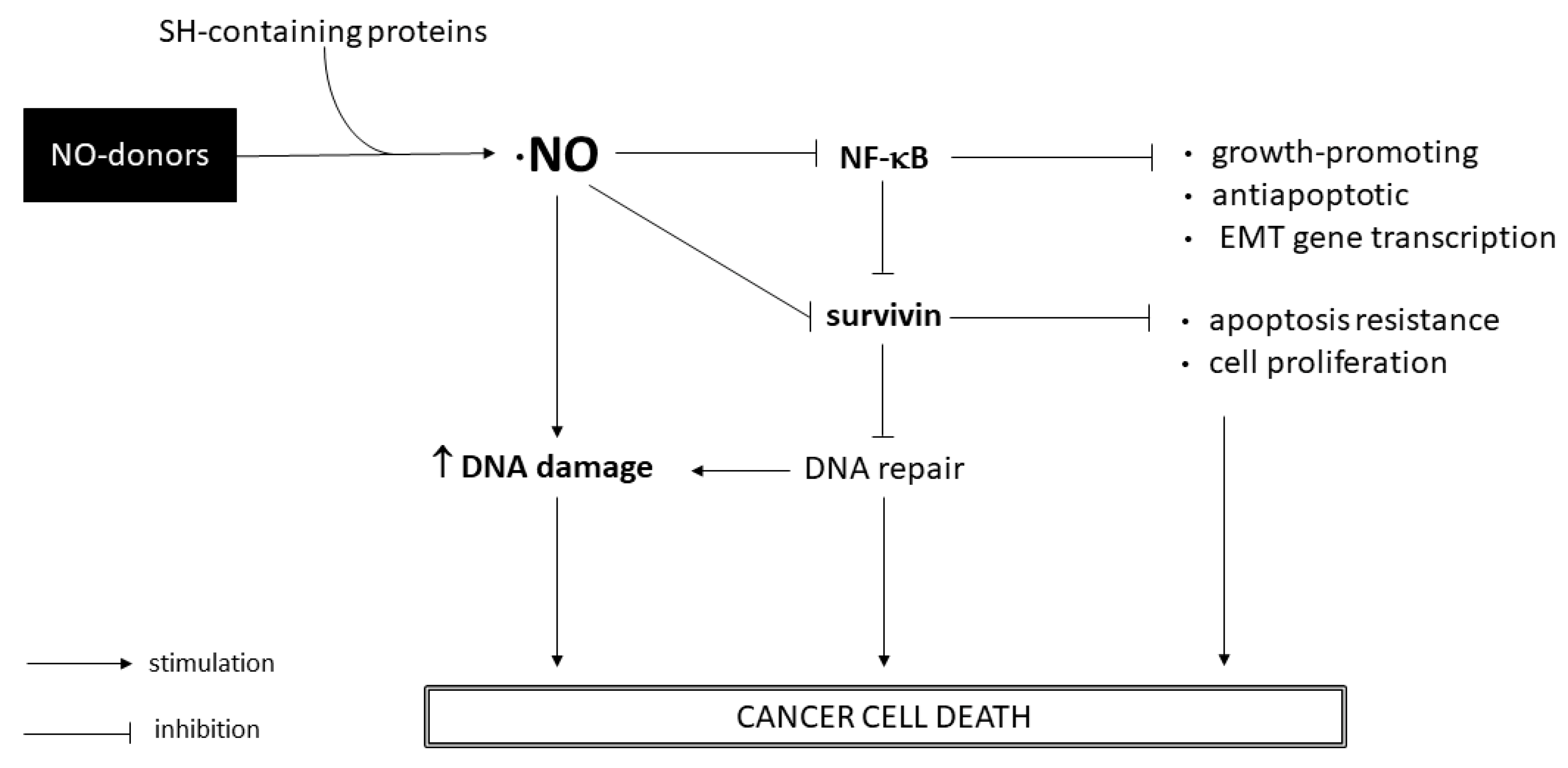 Biomedicines 11 00199 g011