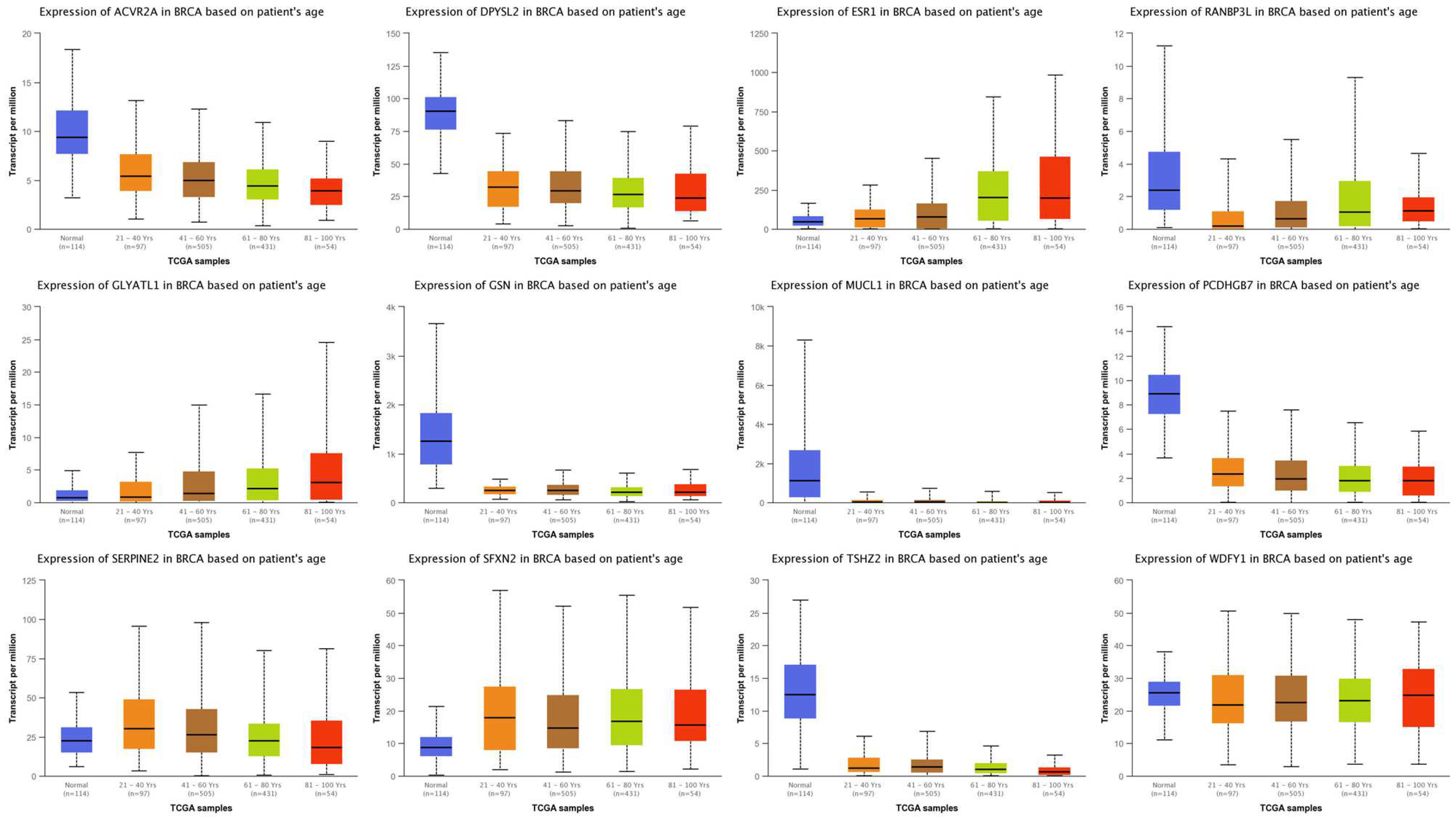 Biomedicines 11 00200 g002 Biomedicines 11 00200 g002