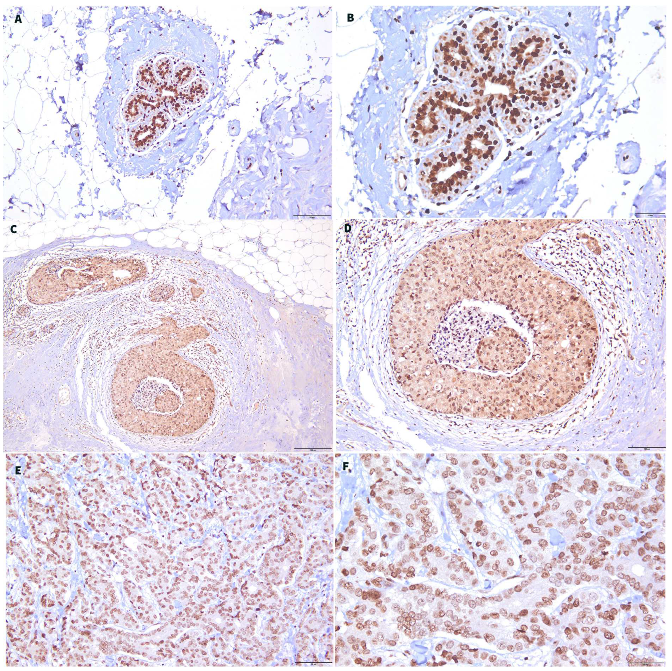 Biomedicines 11 00200 g005 Biomedicines 11 00200 g005