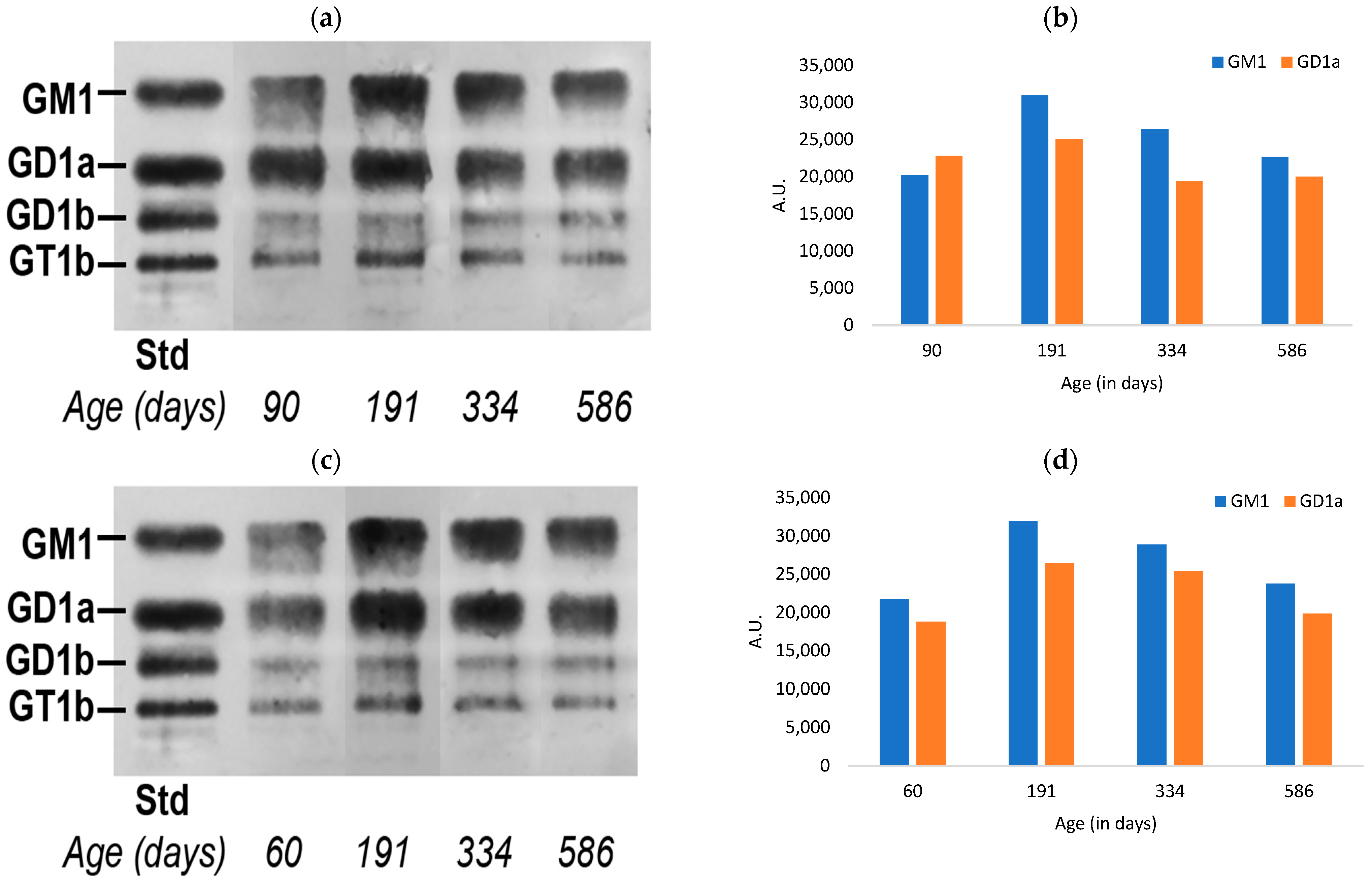 Biomedicines 11 00209 g001 Biomedicines 11 00209 g001