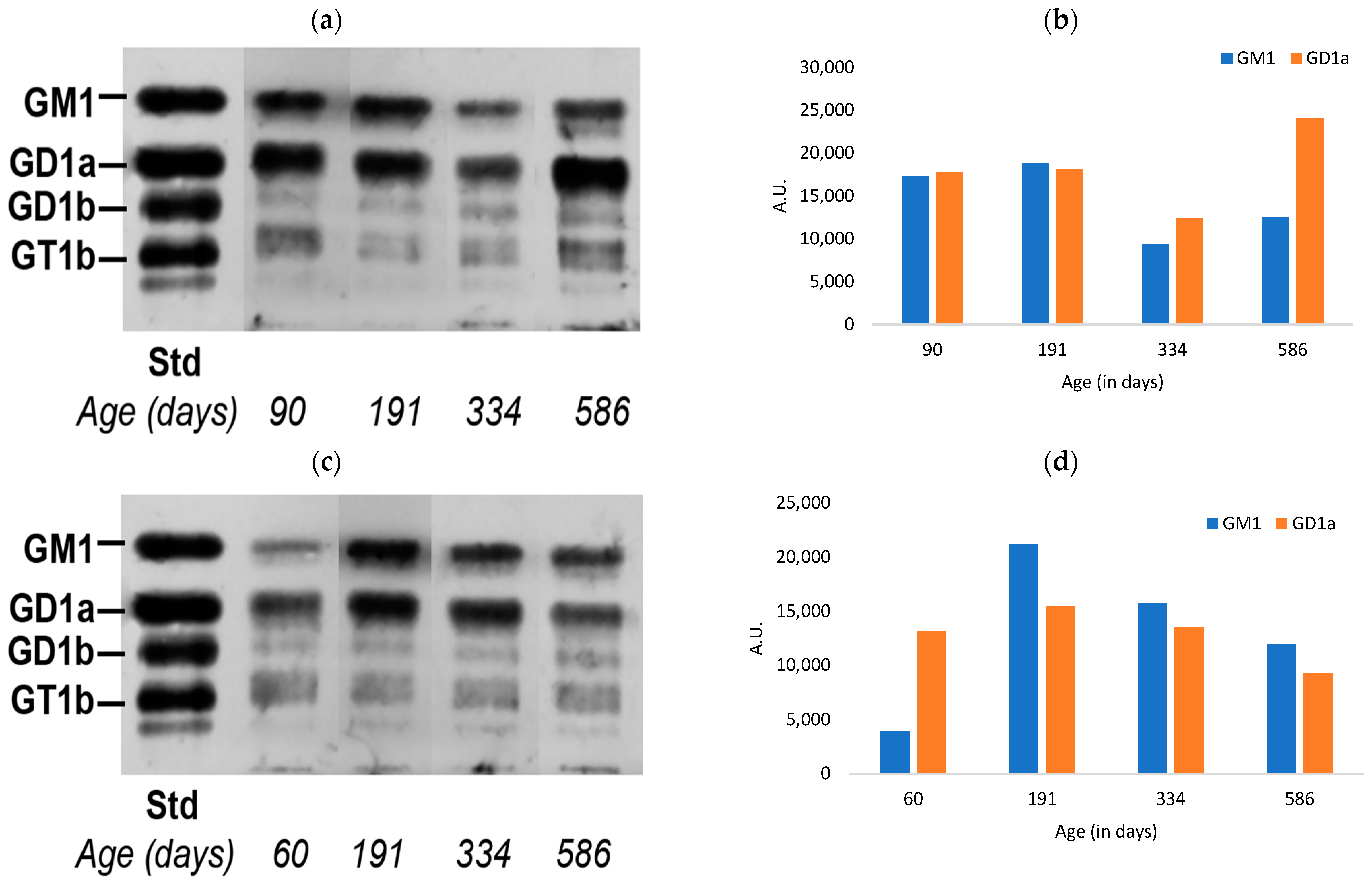 Biomedicines 11 00209 g003 Biomedicines 11 00209 g003