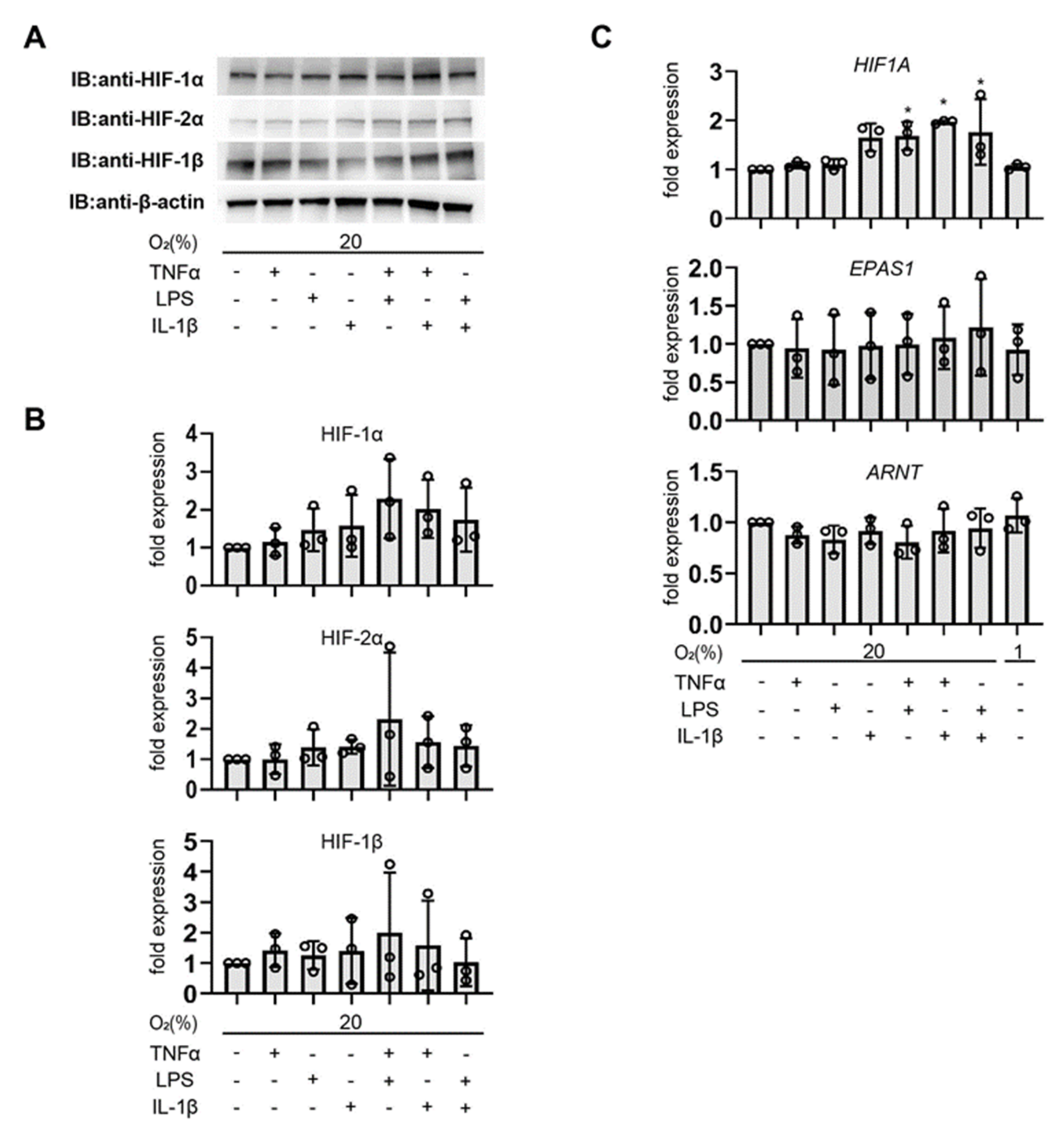 Biomedicines 11 00210 g001 Biomedicines 11 00210 g001