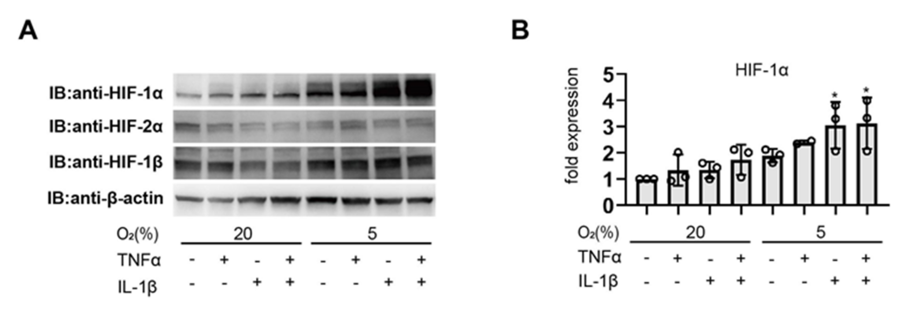 Biomedicines 11 00210 g002 Biomedicines 11 00210 g002
