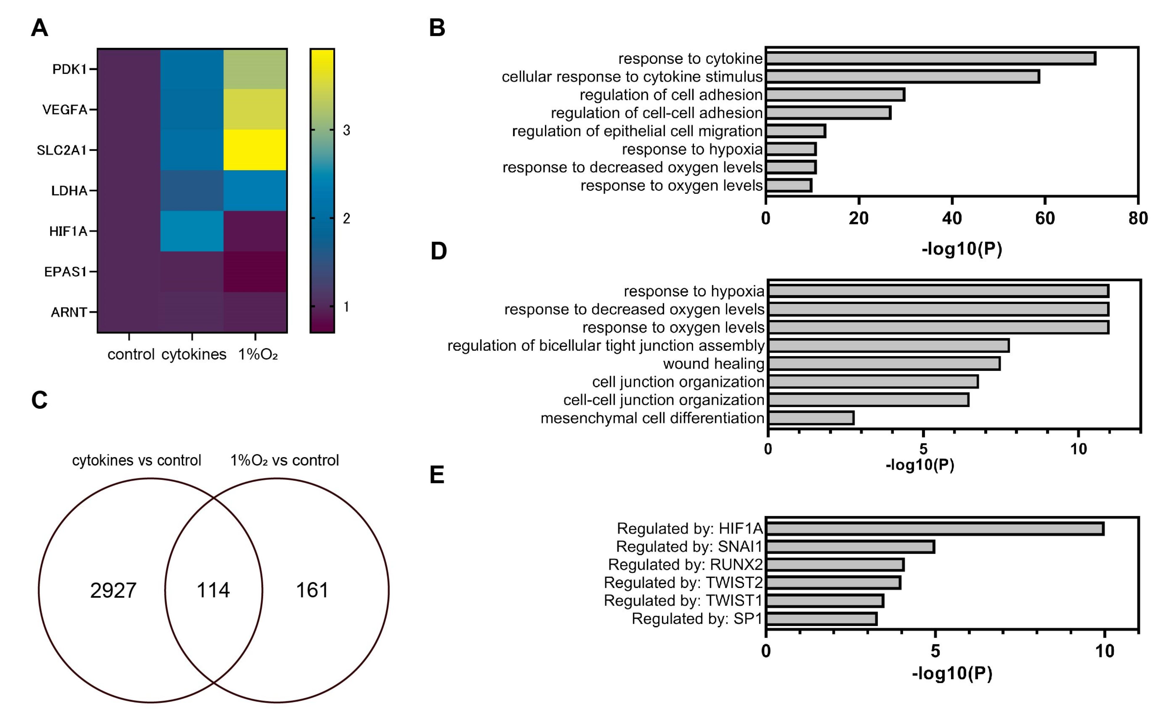 Biomedicines 11 00210 g004 Biomedicines 11 00210 g004