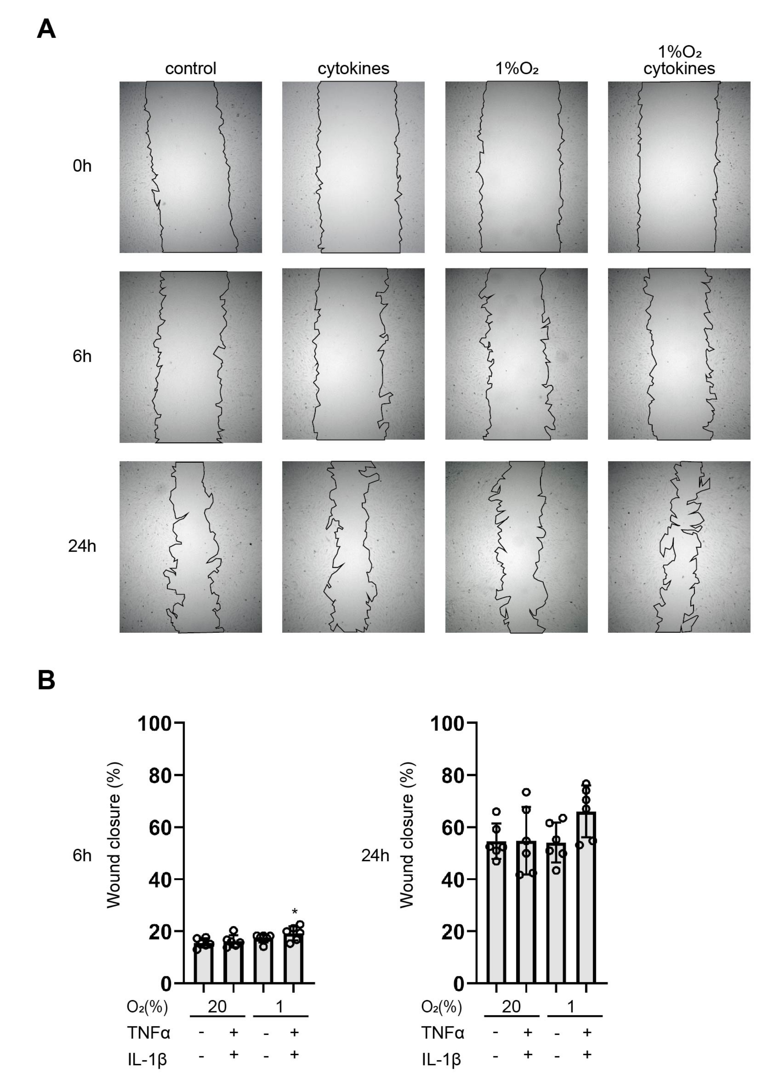 Biomedicines 11 00210 g007 Biomedicines 11 00210 g007