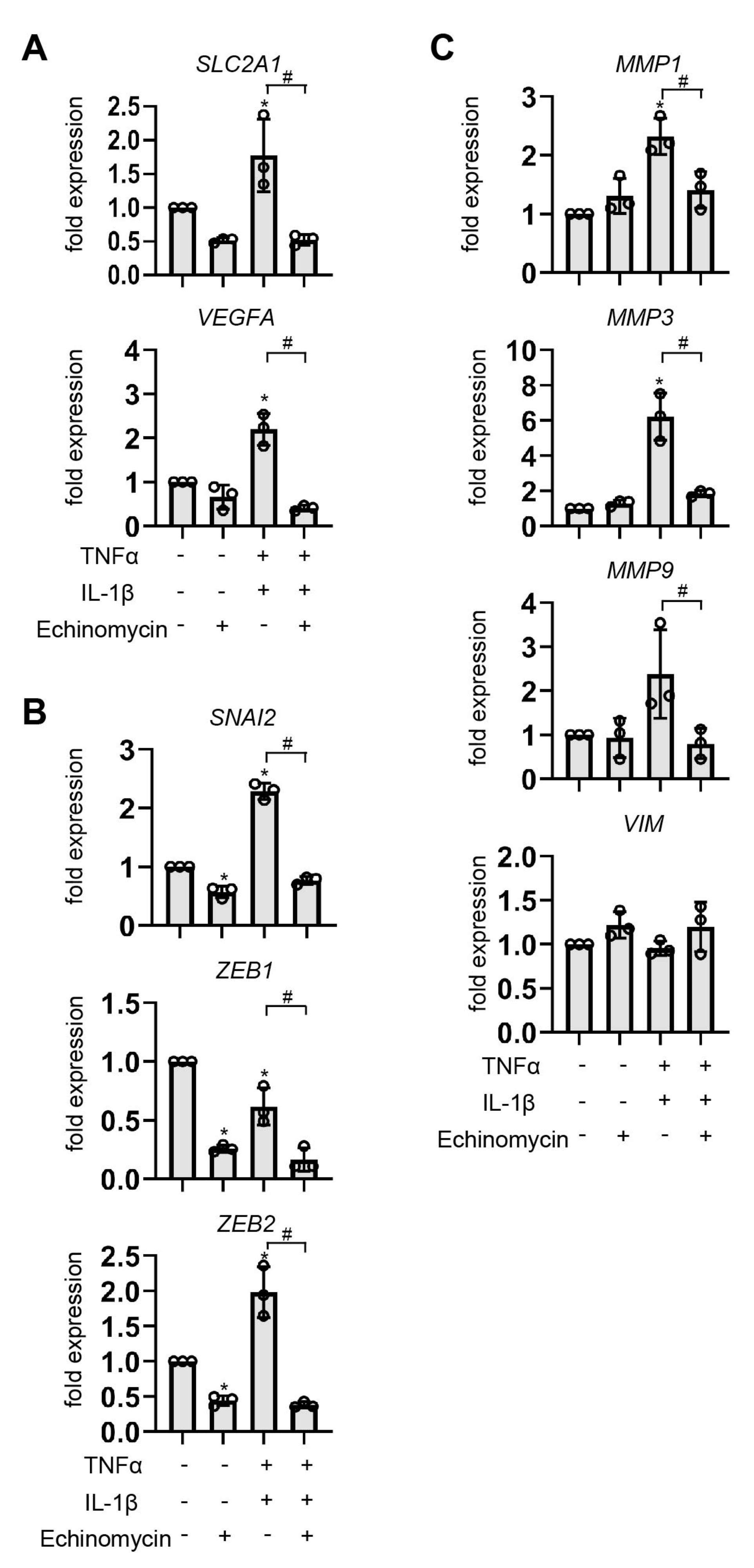 Biomedicines 11 00210 g008 Biomedicines 11 00210 g008