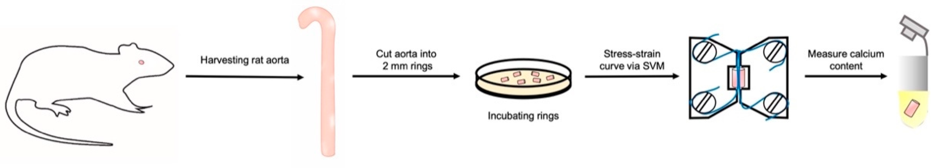 Biomedicines 11 00211 g001