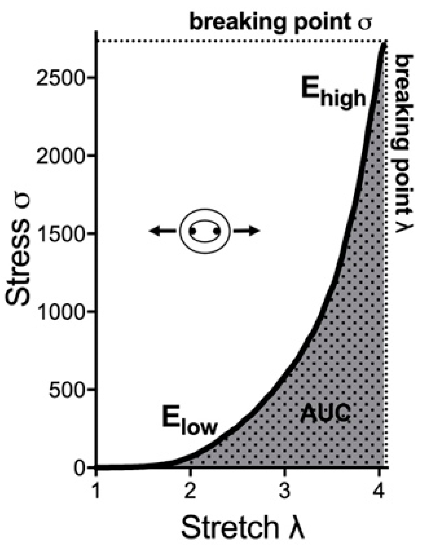 Biomedicines 11 00211 g002