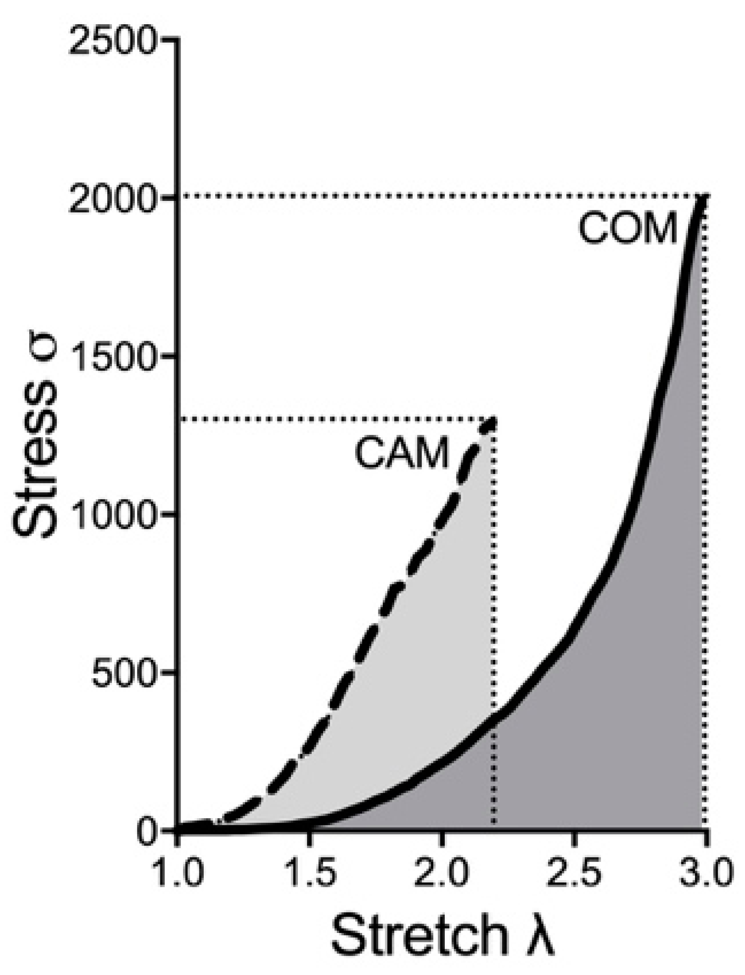 Biomedicines 11 00211 g003