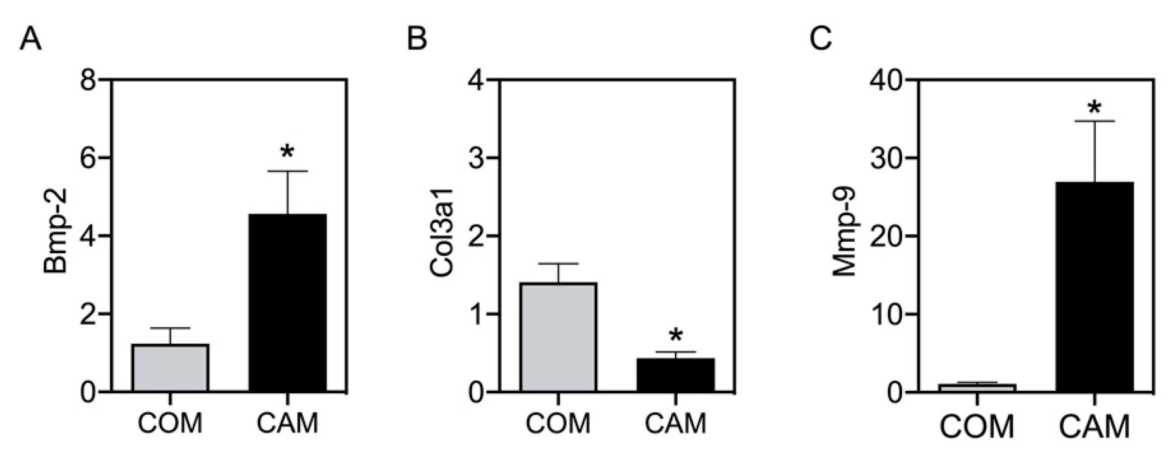 Biomedicines 11 00211 g005