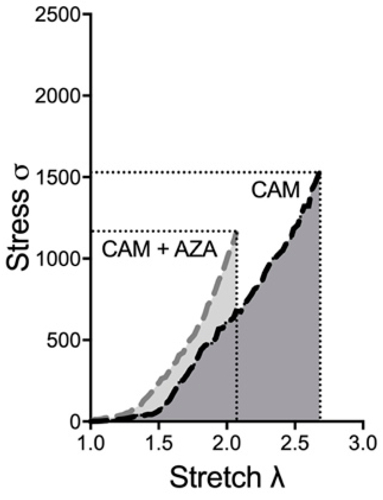 Biomedicines 11 00211 g006