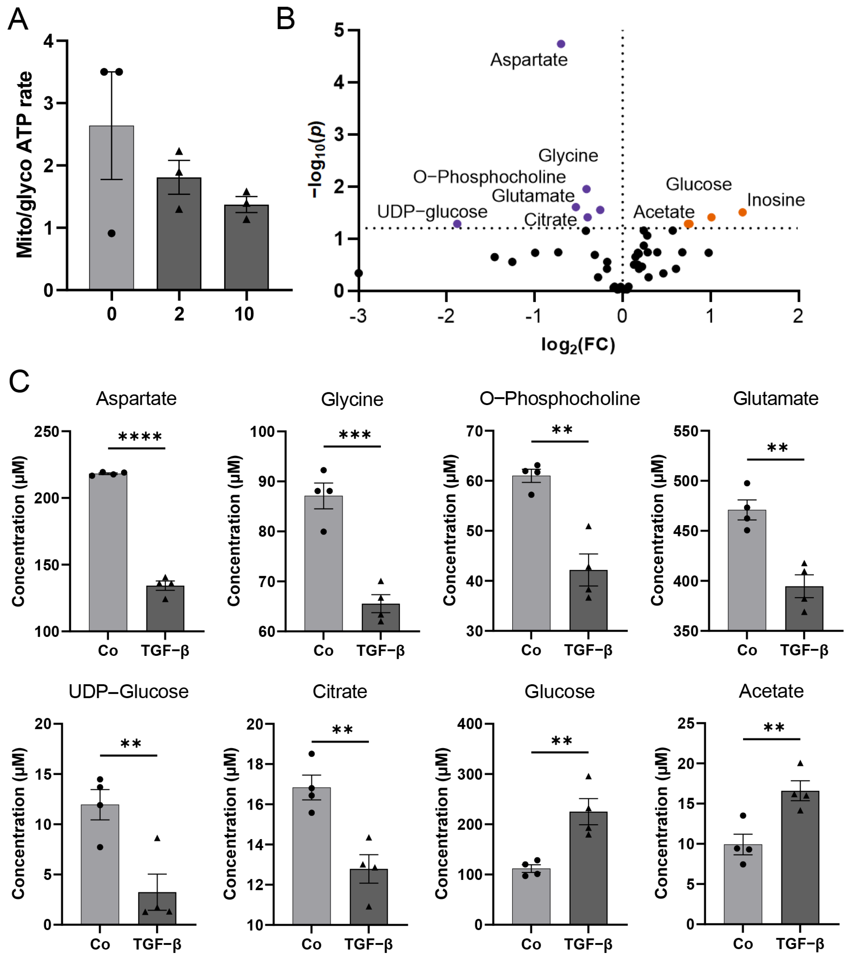 Biomedicines 11 00214 g004