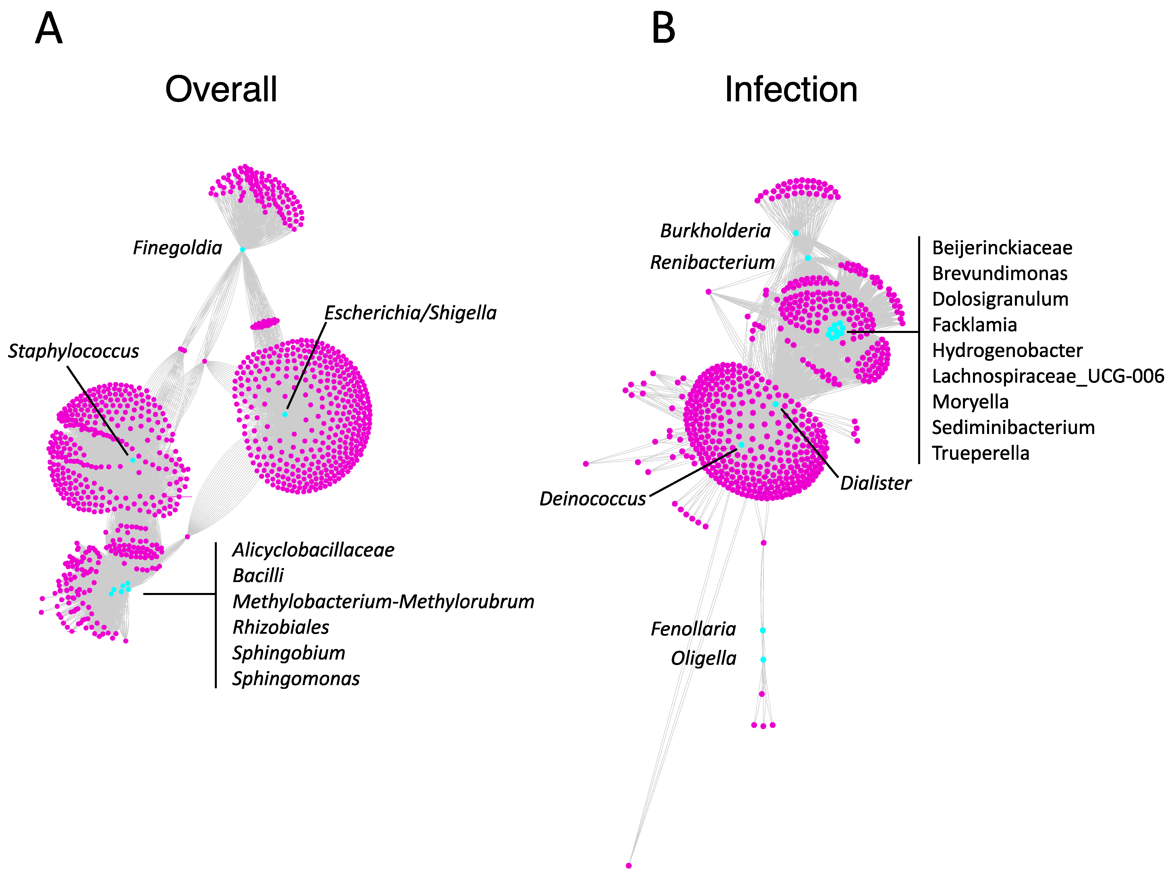 Biomedicines 11 00215 g003