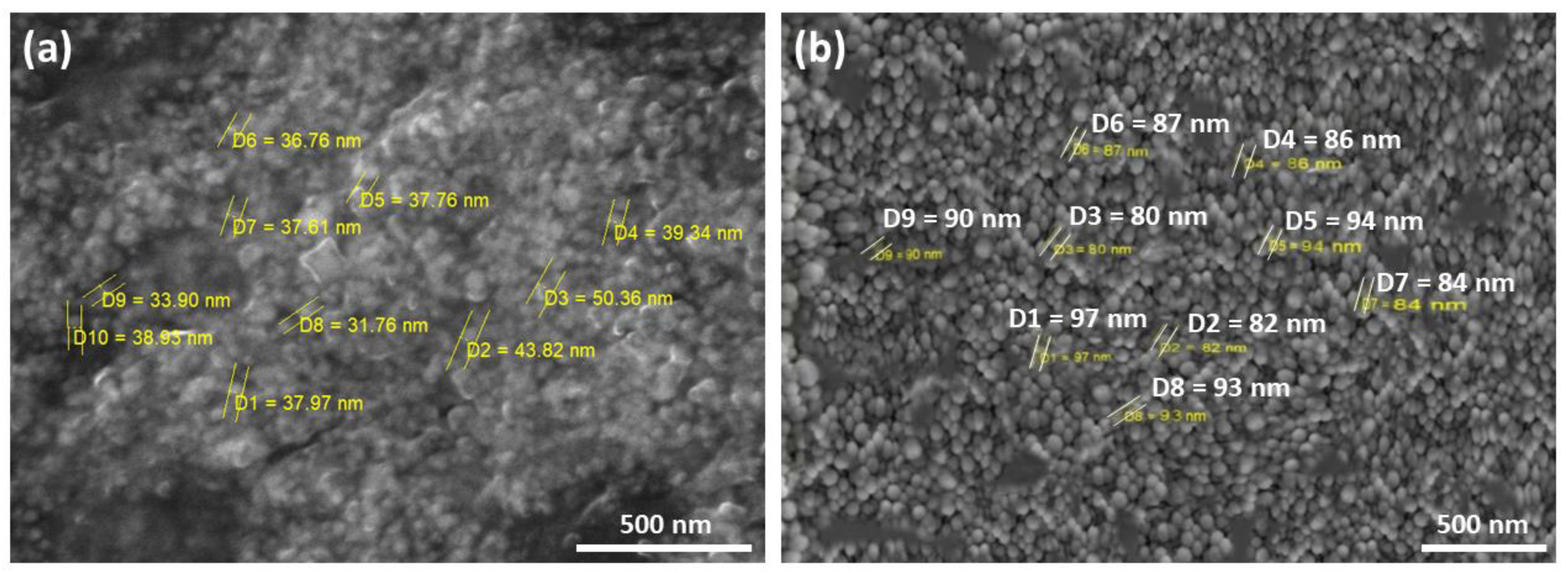 Biomedicines 11 00217 g004 Biomedicines 11 00217 g004