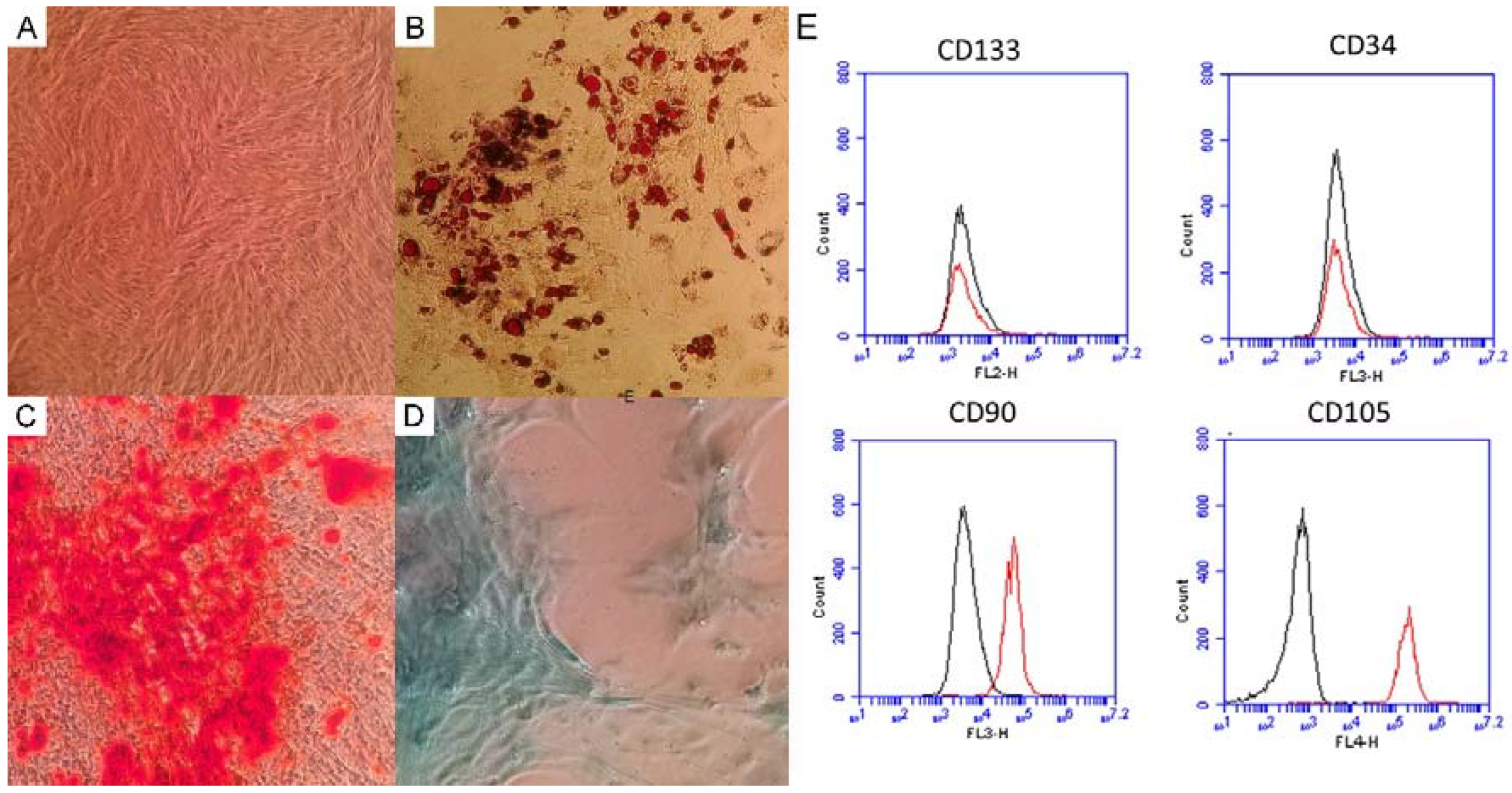 Biomedicines 11 00218 g001