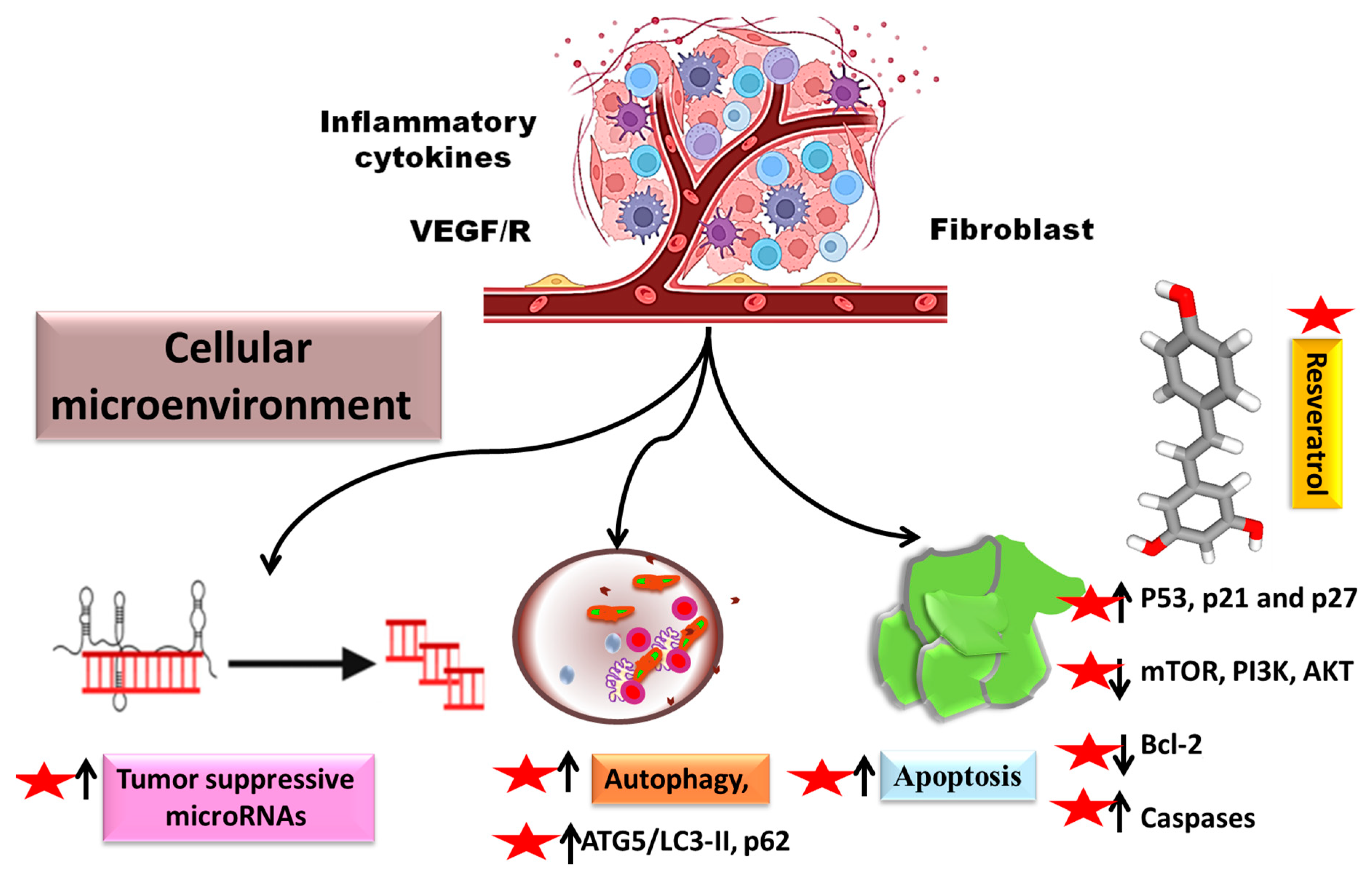 Biomedicines 11 00221 g001 Biomedicines 11 00221 g001