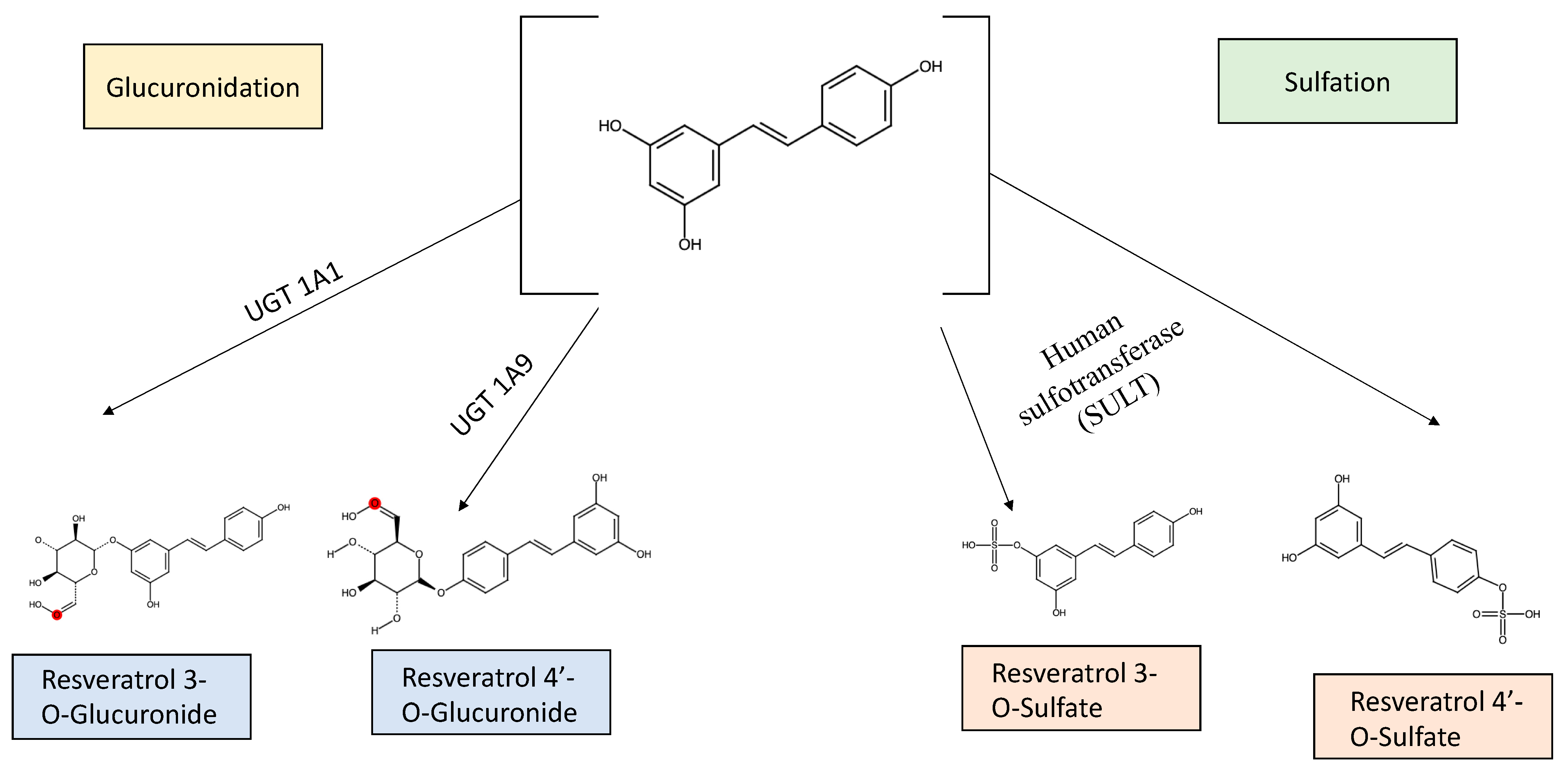 Biomedicines 11 00221 g002 Biomedicines 11 00221 g002