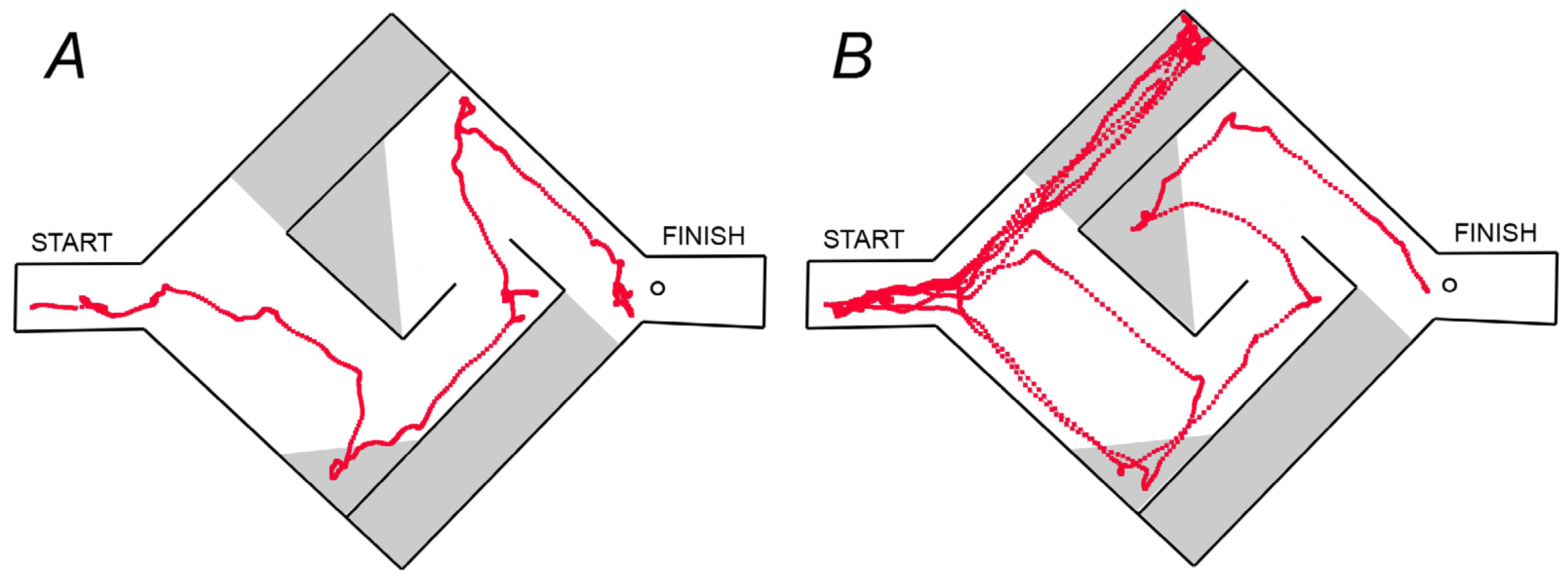 Biomedicines 11 00222 g001