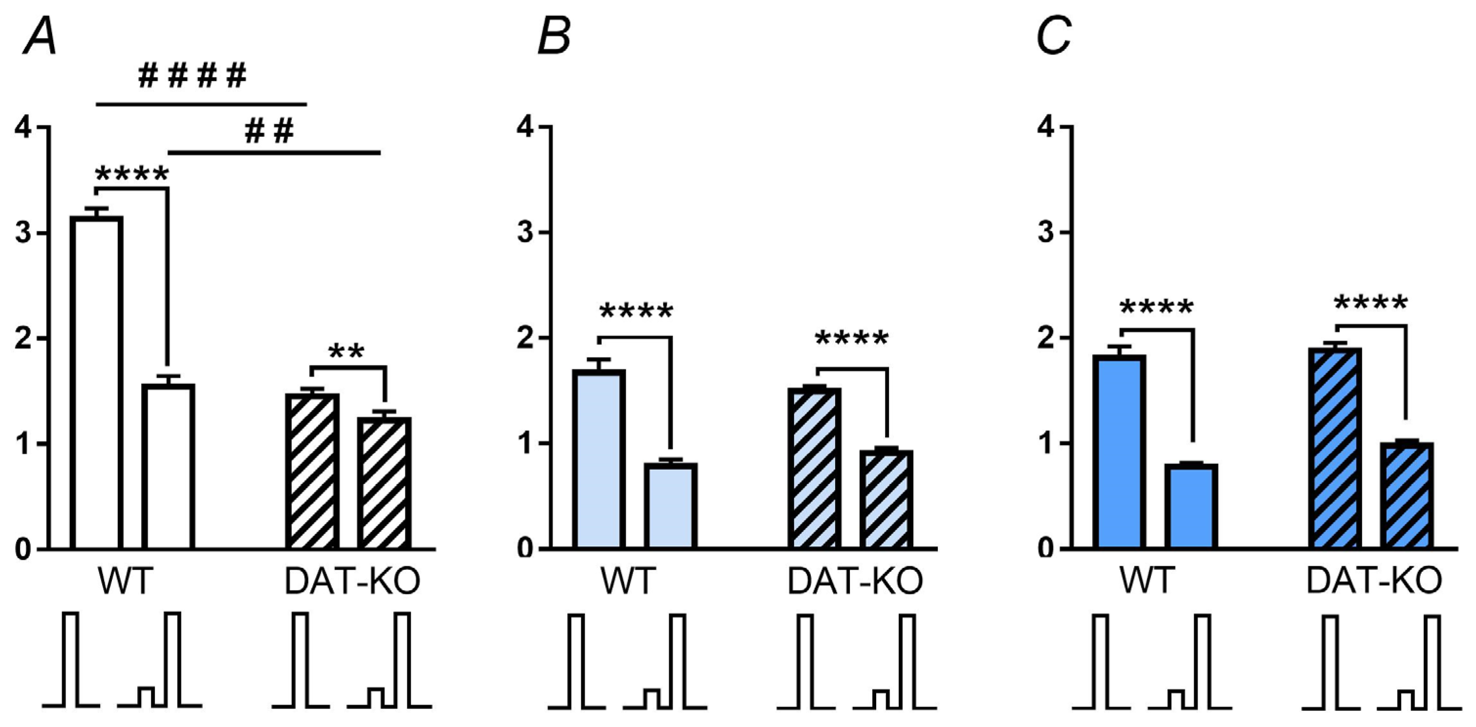 Biomedicines 11 00222 g004
