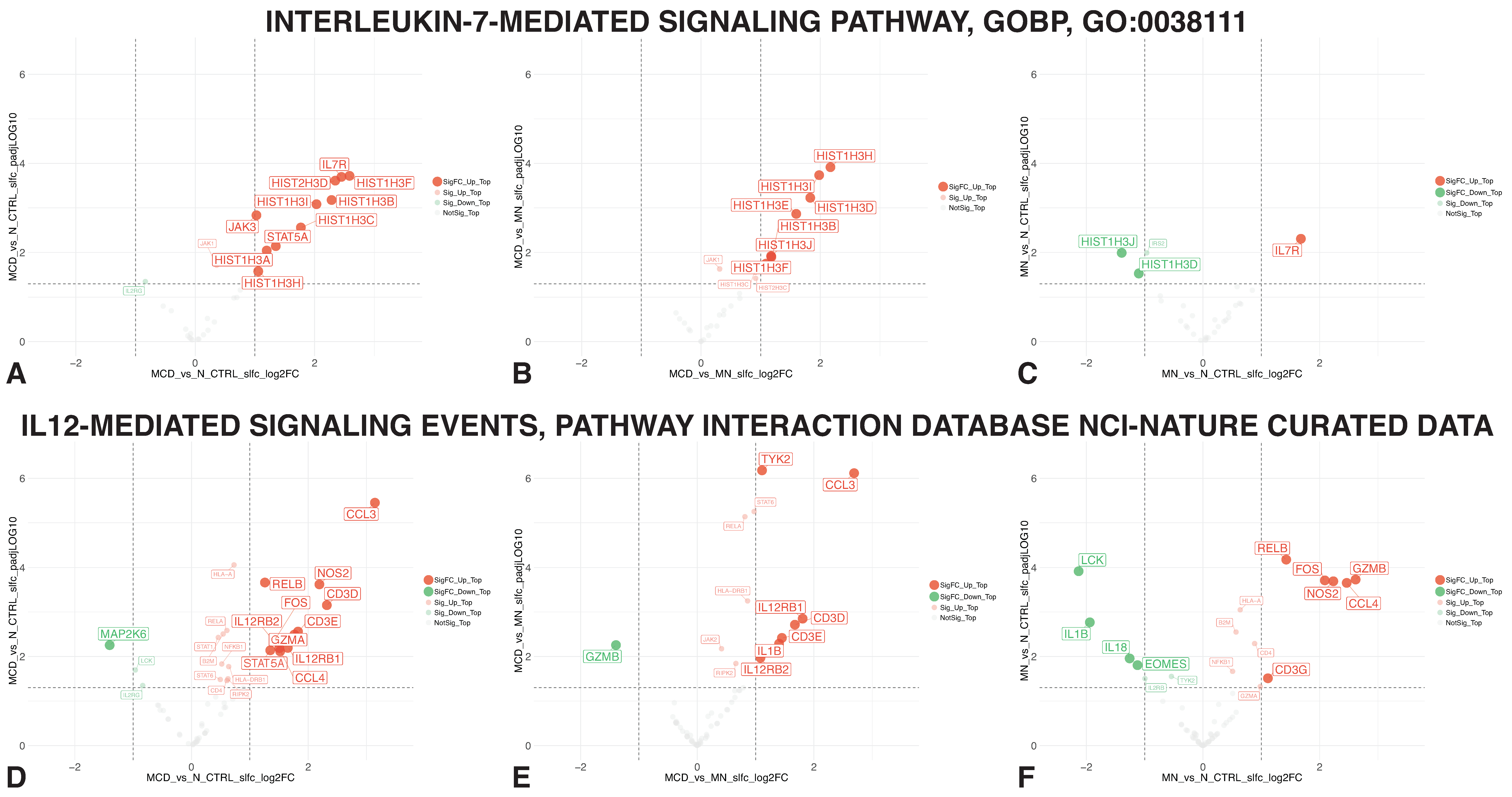 Biomedicines 11 00226 g005 Biomedicines 11 00226 g005