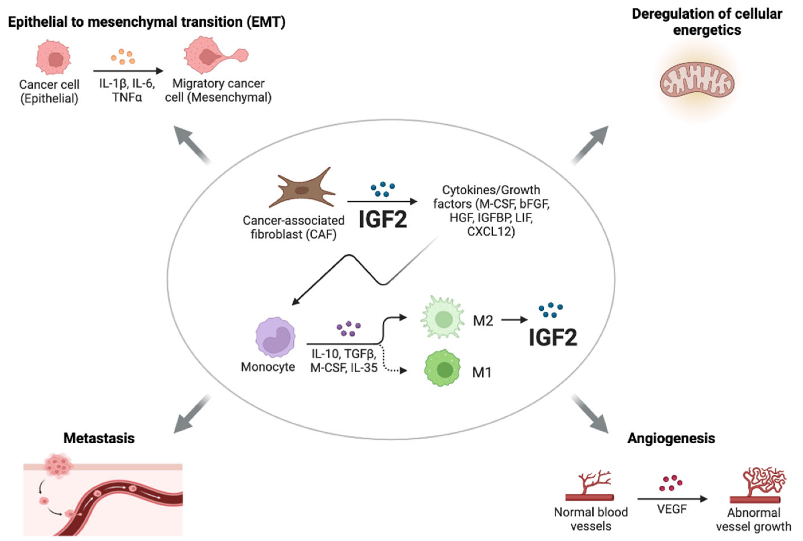 Biomedicines 11 00229 g002 Biomedicines 11 00229 g002
