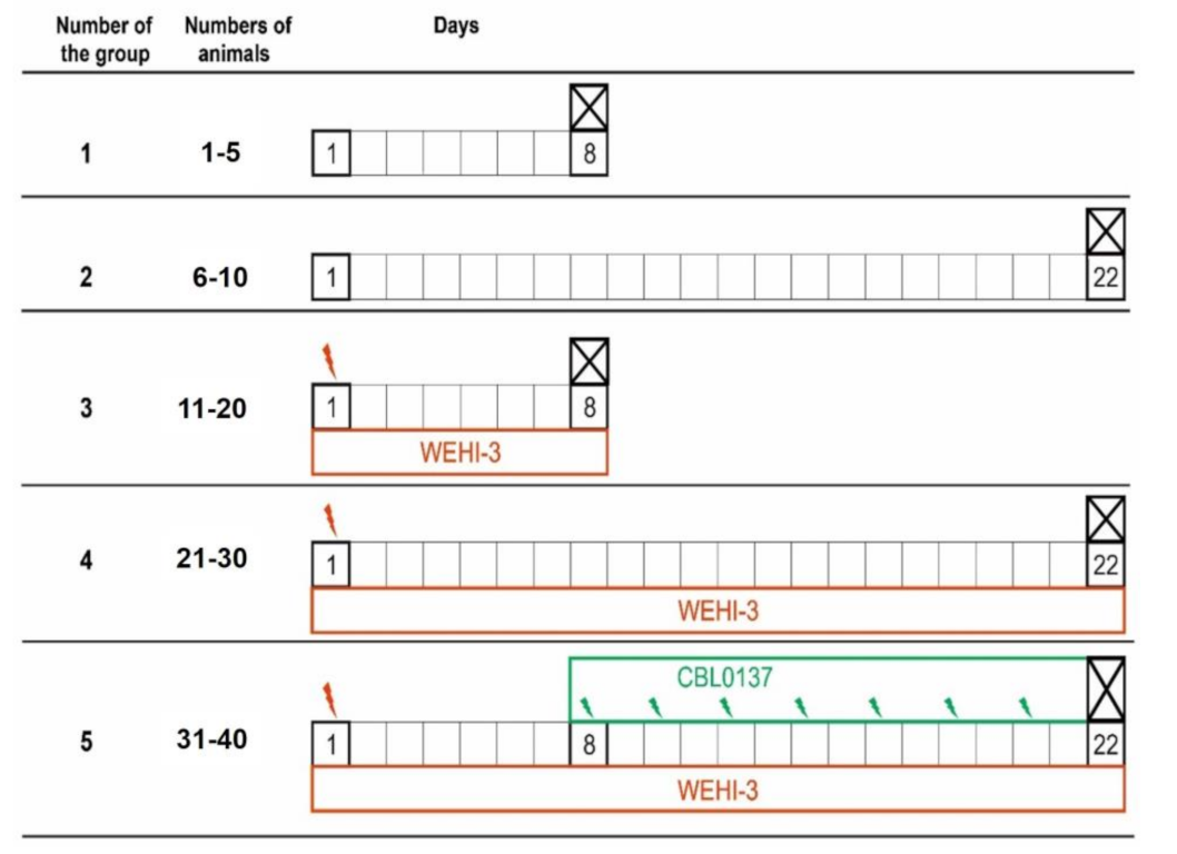 Biomedicines 11 00230 g004