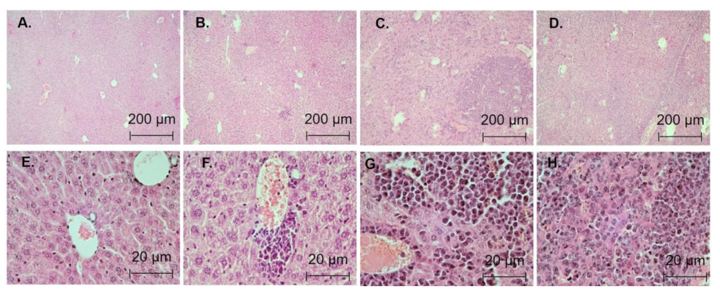 Biomedicines 11 00230 g006