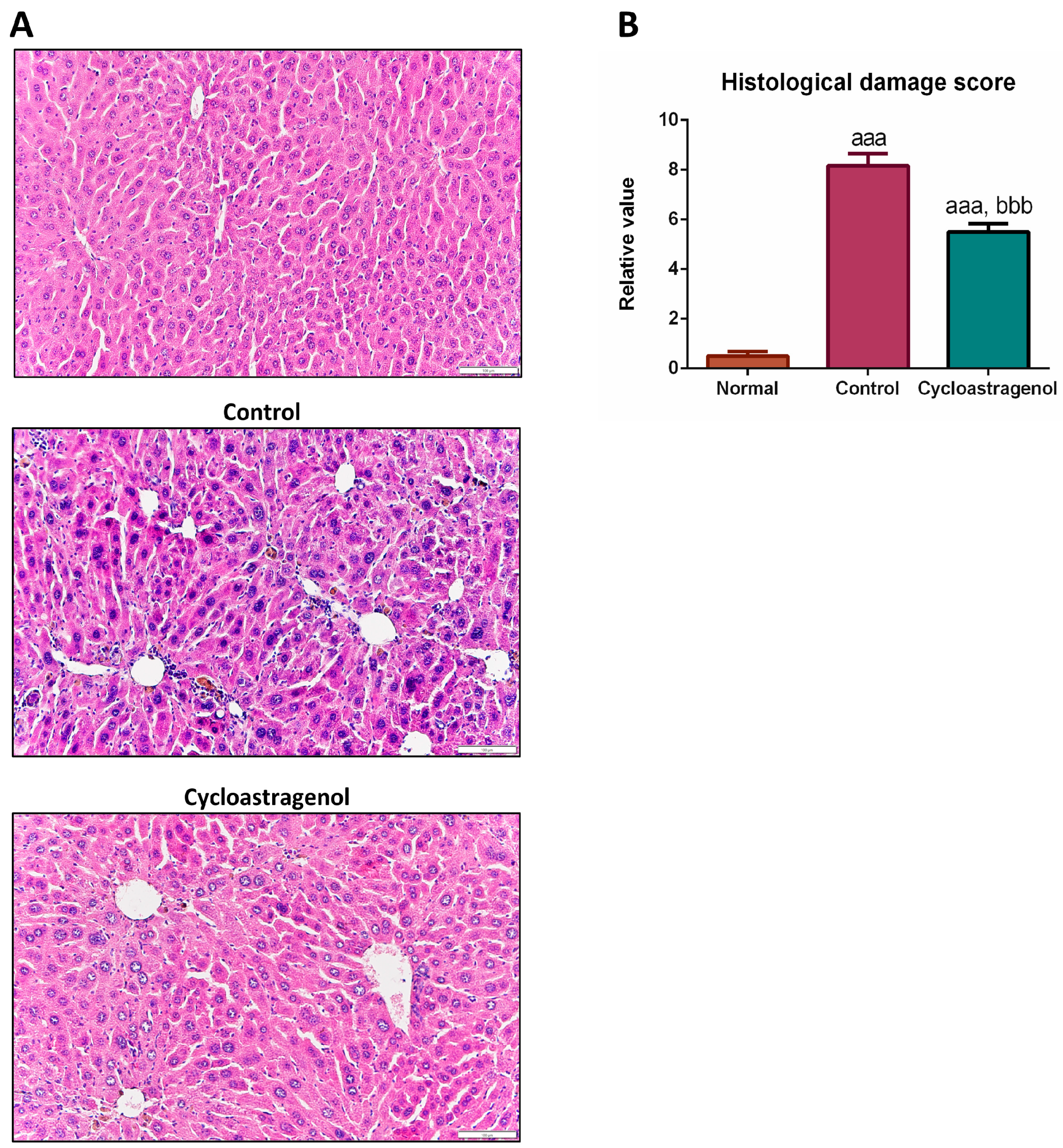 Biomedicines 11 00231 g004 Biomedicines 11 00231 g004