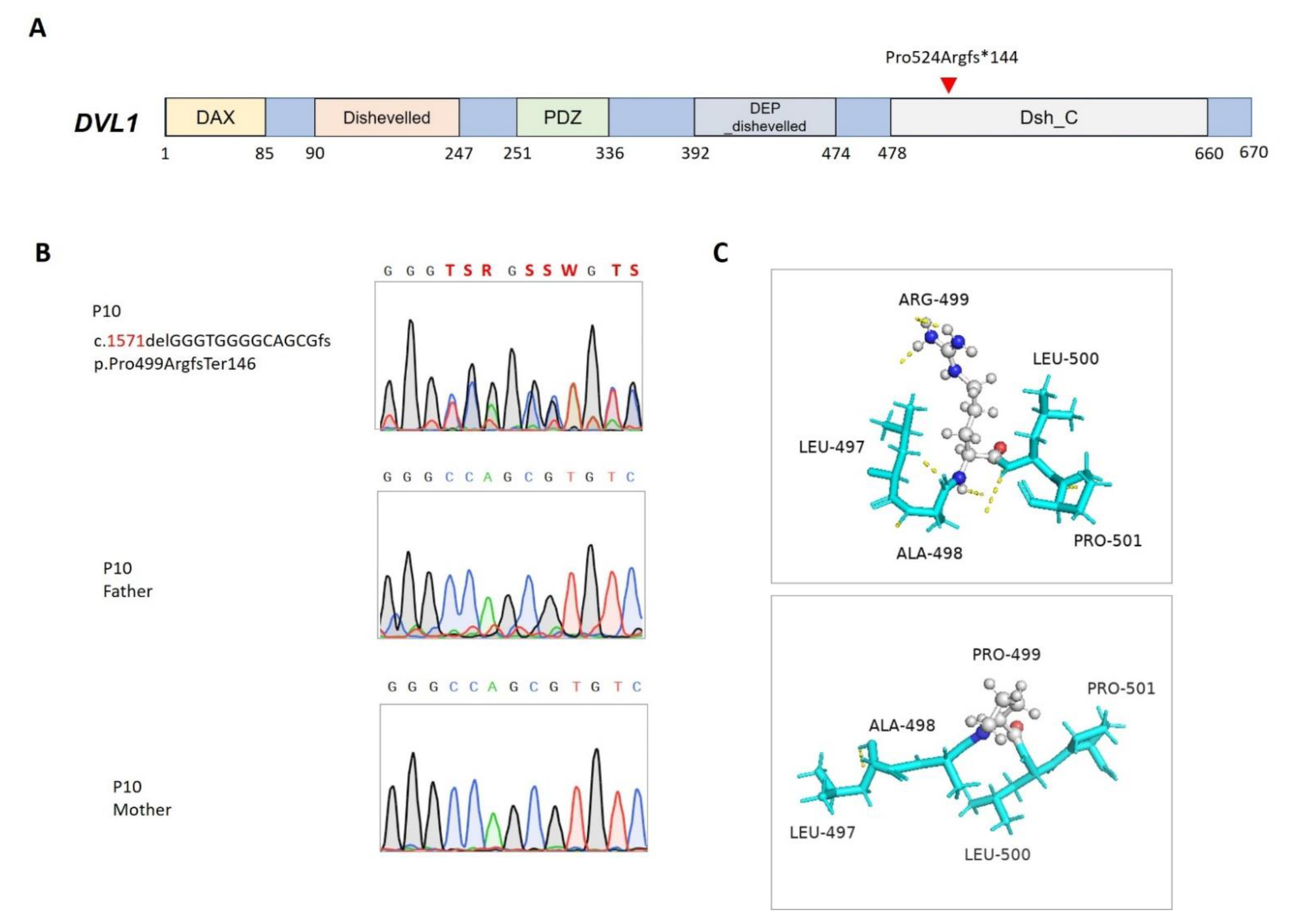 Whole-Exome Sequencing Identified Rare Genetic Variants