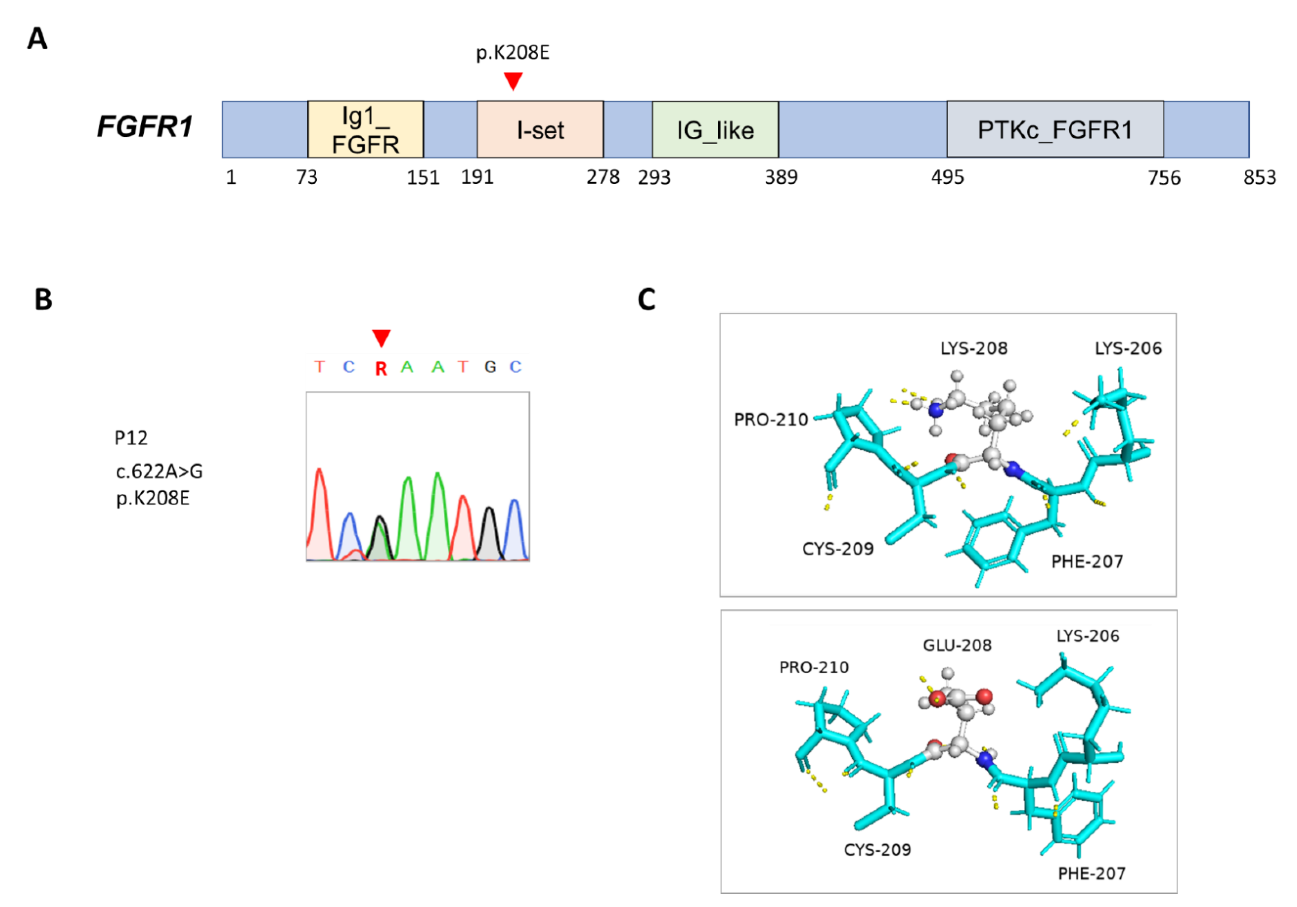 Whole-Exome Sequencing Identified Rare Genetic Variants