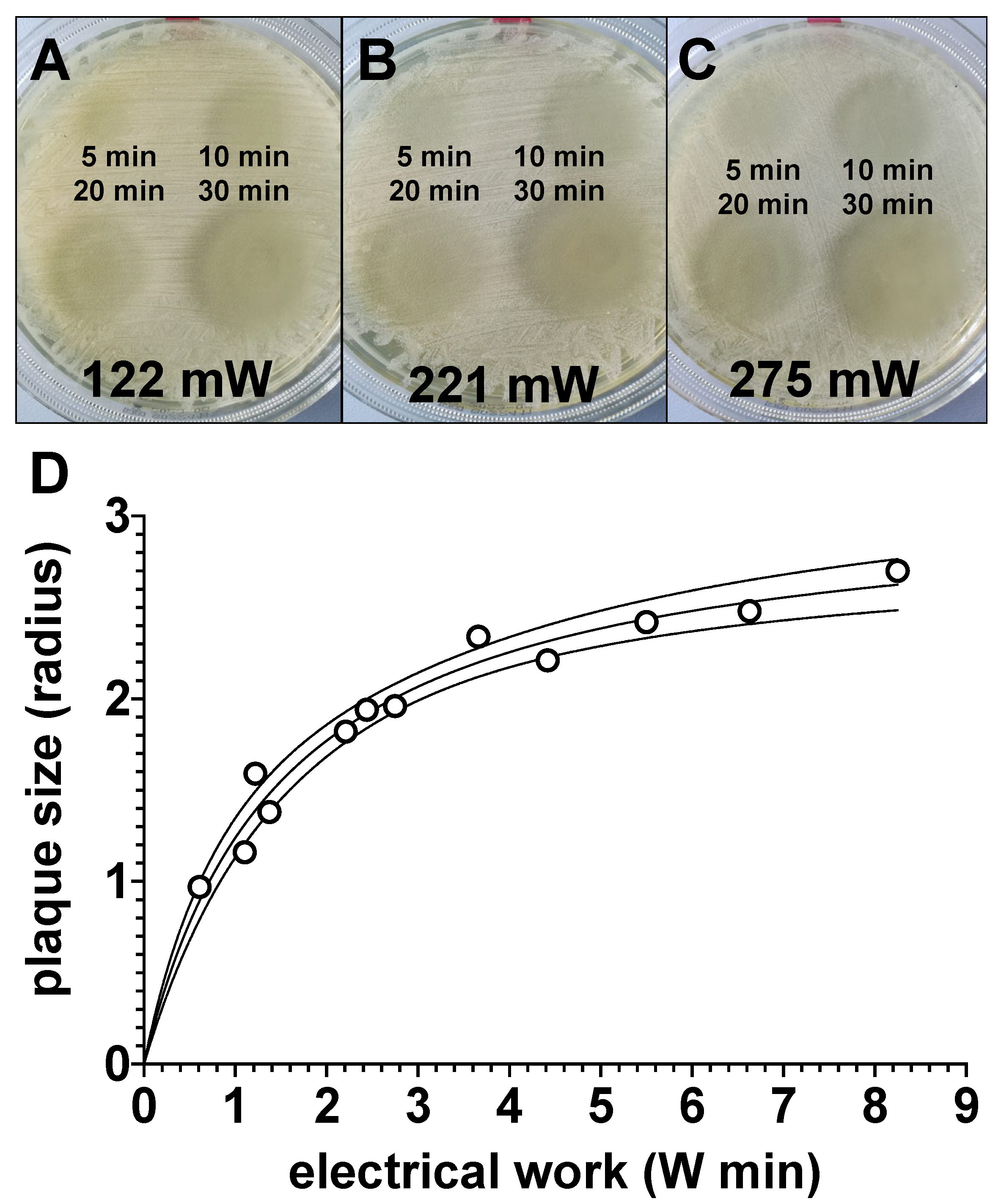 Biomedicines 11 00244 g007