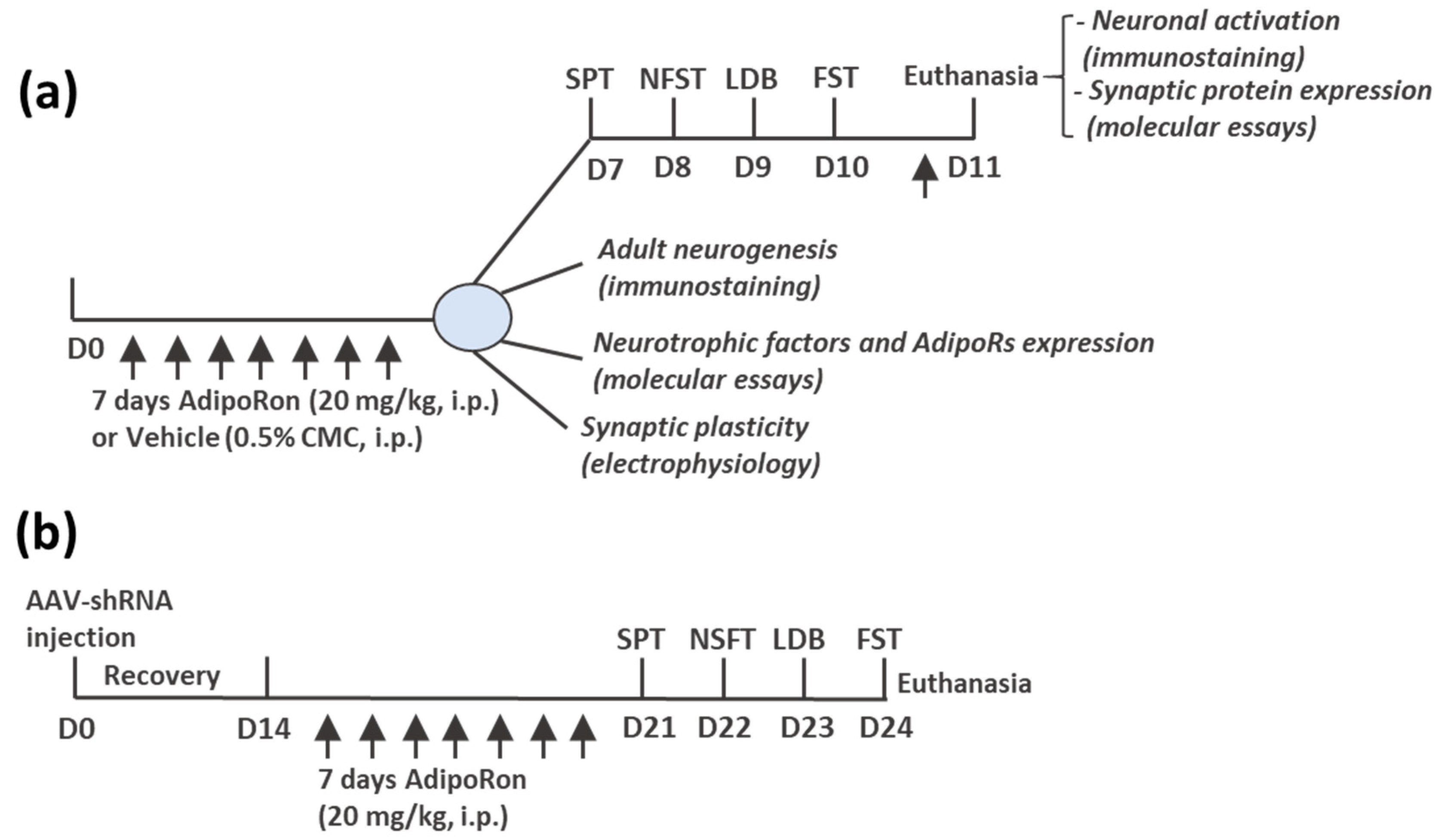 Biomedicines 11 00249 g001 Biomedicines 11 00249 g001