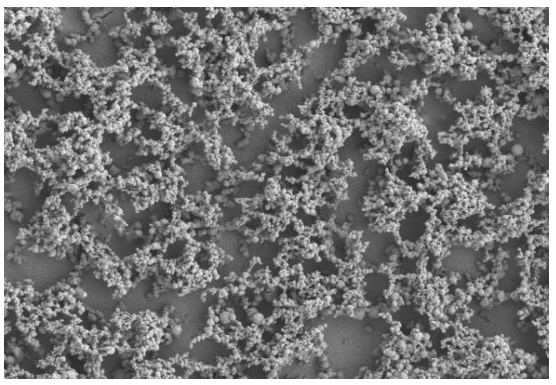 Biomedicines 11 00250 g004