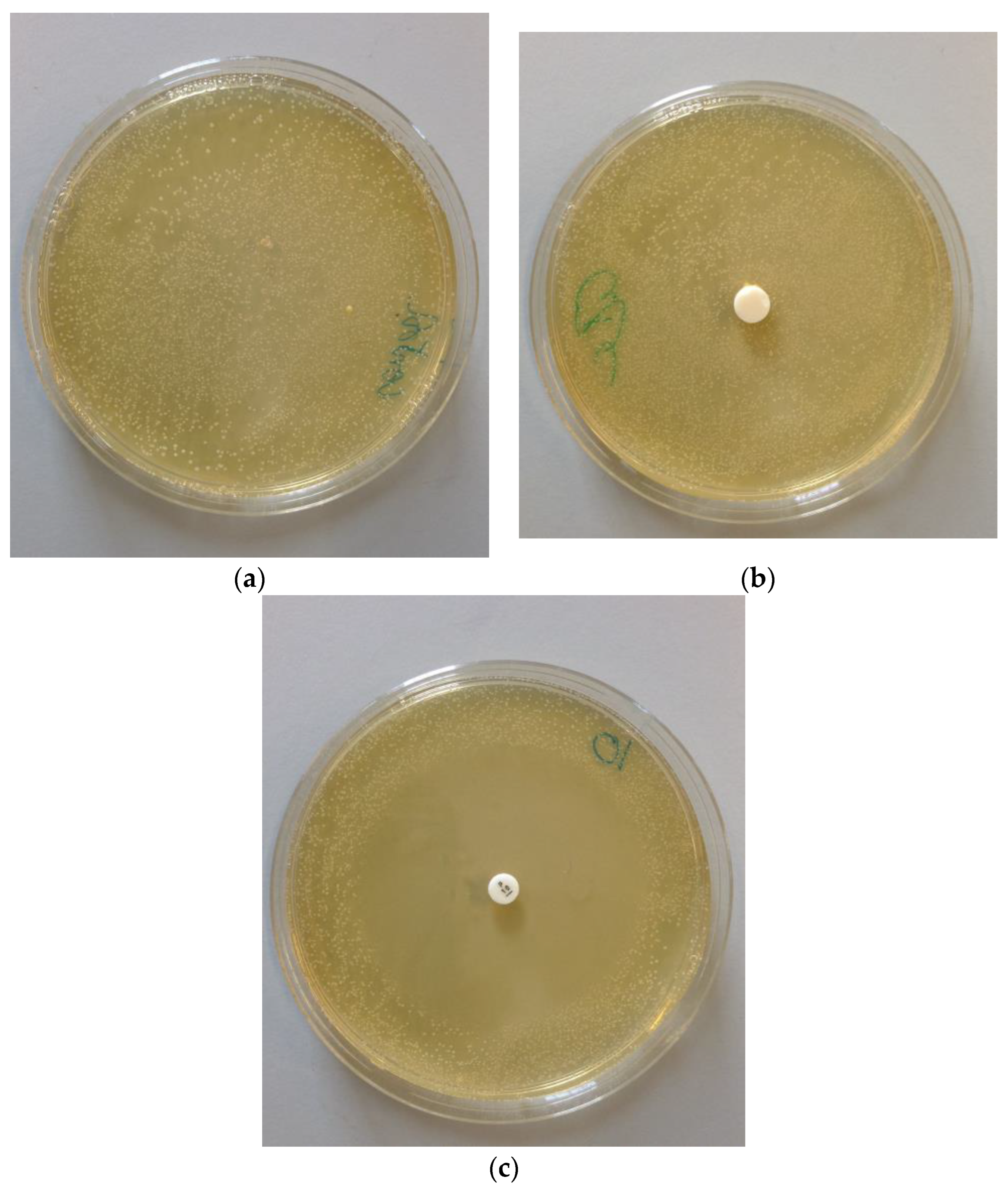 Biomedicines 11 00250 g006