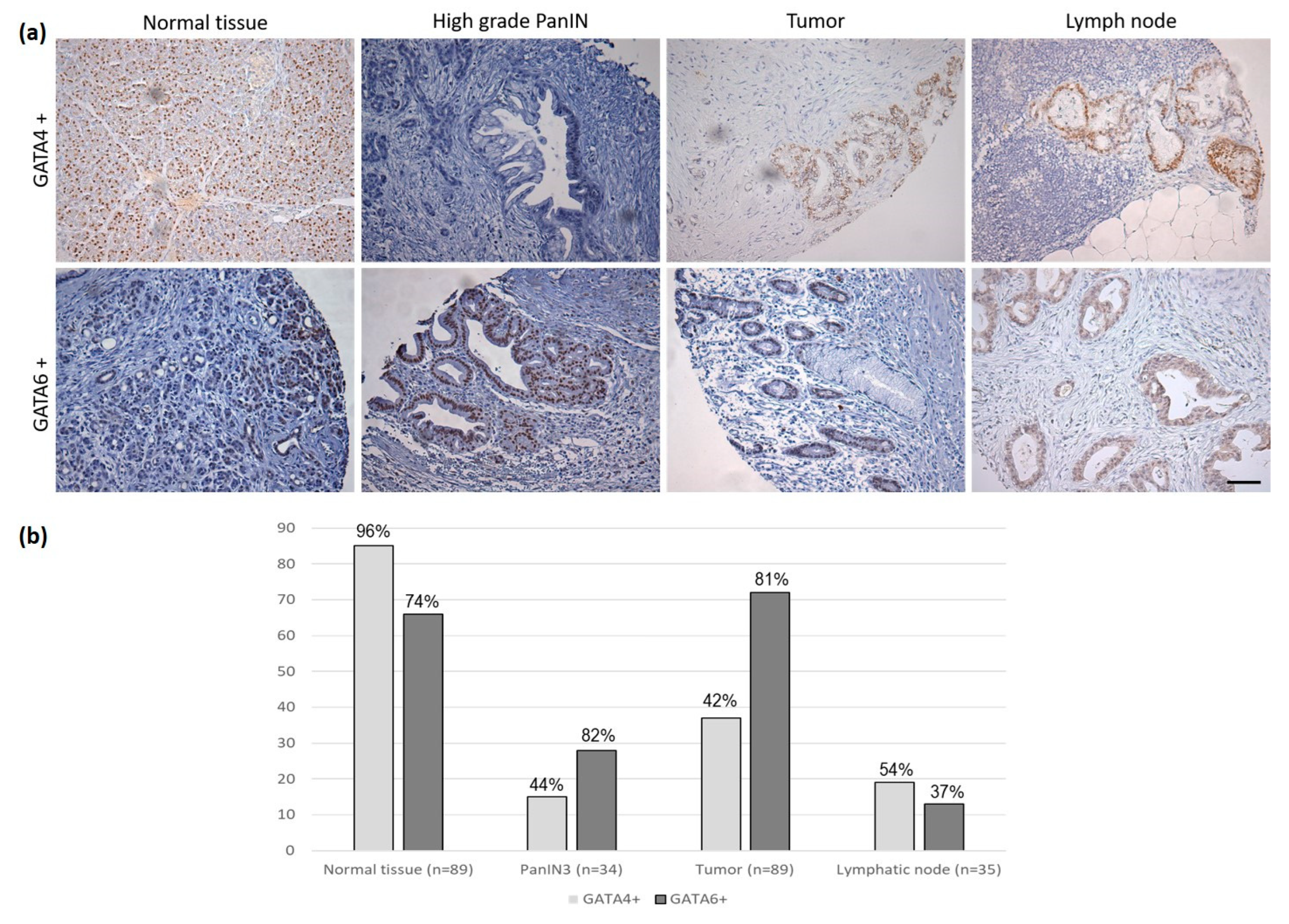 Biomedicines 11 00252 g001 Biomedicines 11 00252 g001
