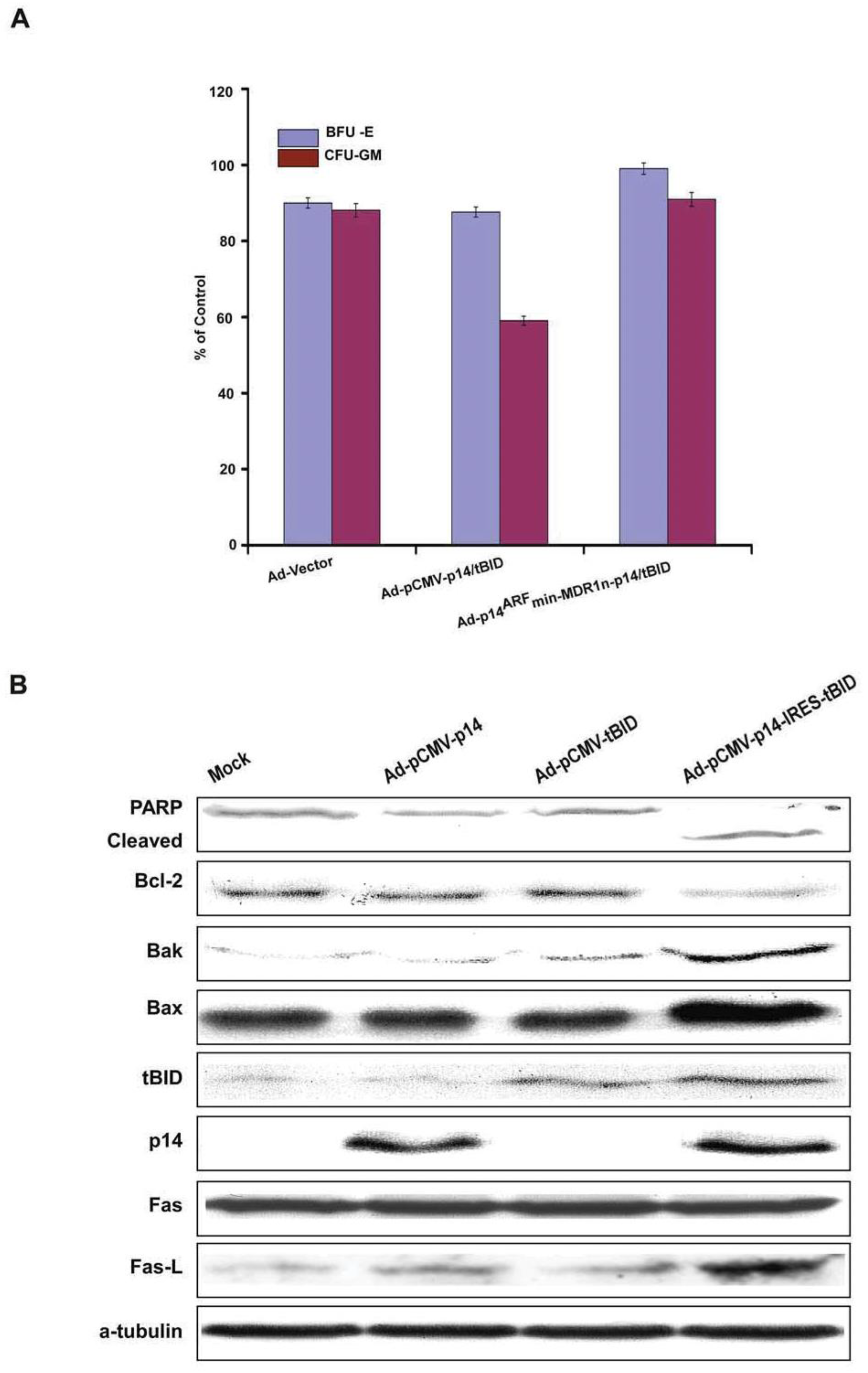 Biomedicines 11 00258 g004 Biomedicines 11 00258 g004
