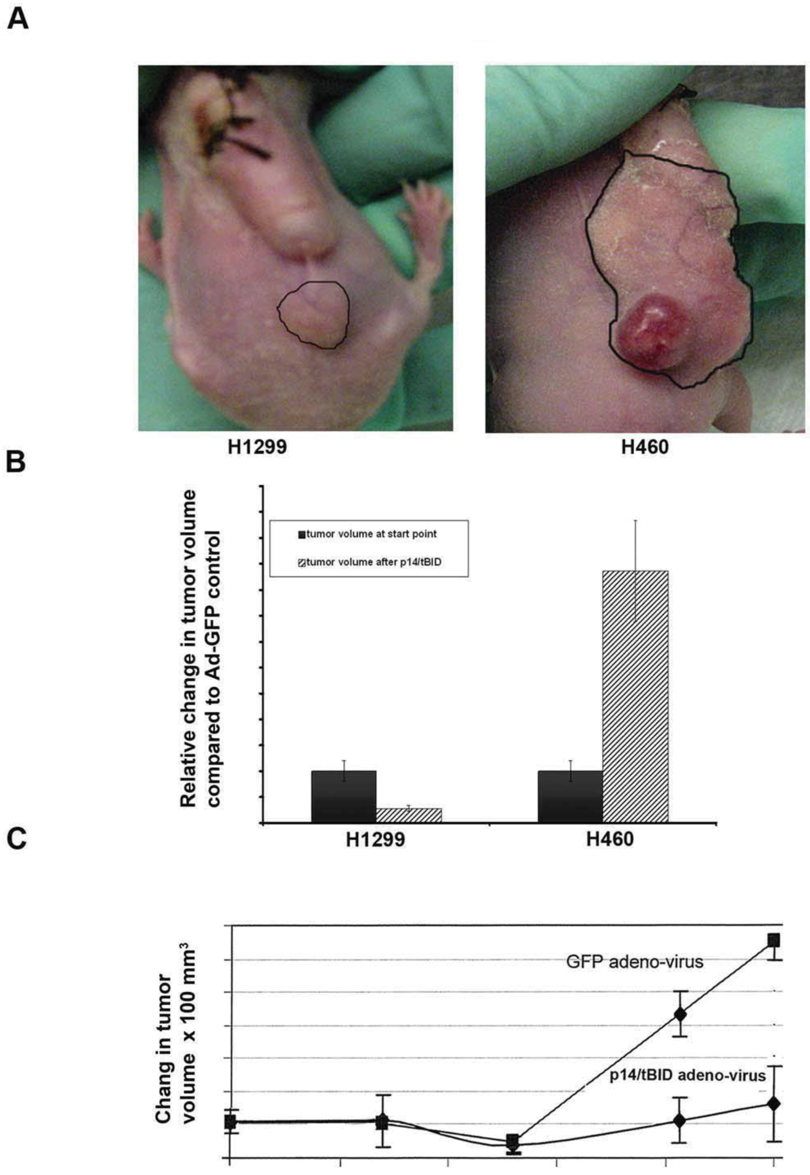 Biomedicines 11 00258 g005 Biomedicines 11 00258 g005