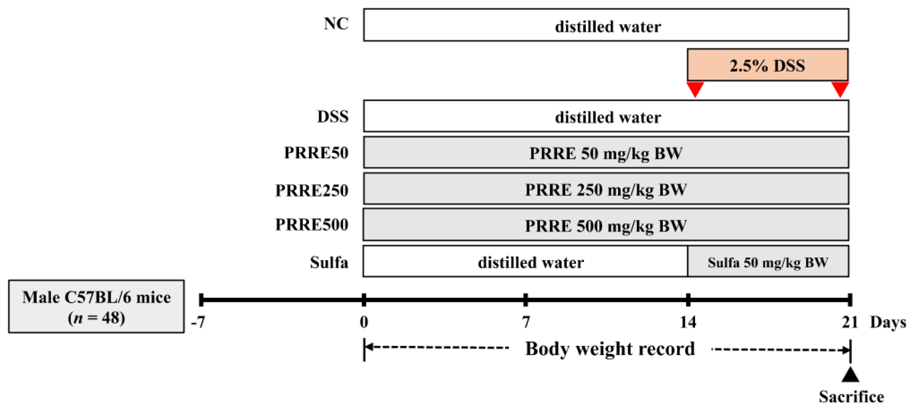 Biomedicines 11 00265 g001 Biomedicines 11 00265 g001