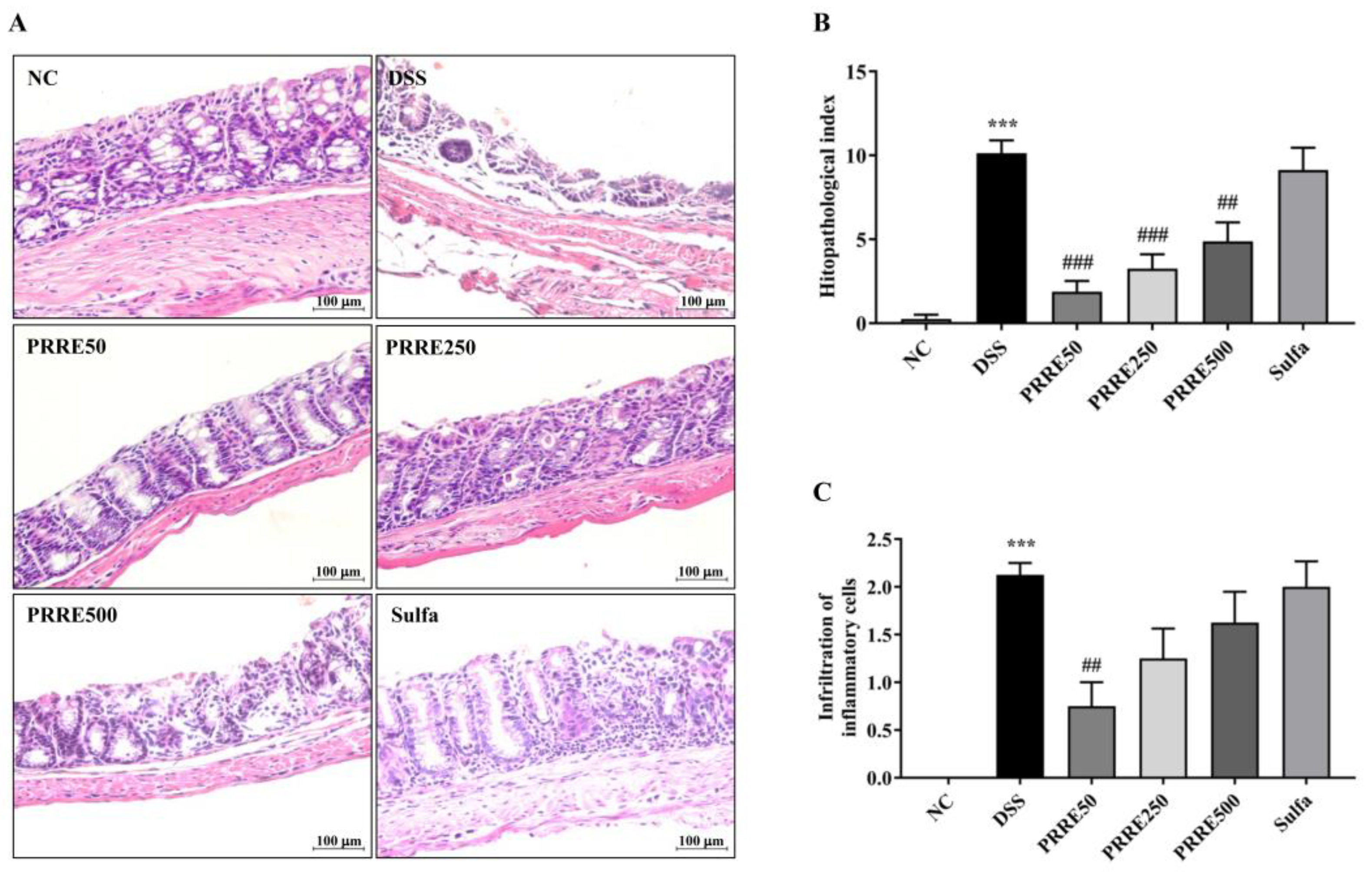 Biomedicines 11 00265 g004 Biomedicines 11 00265 g004