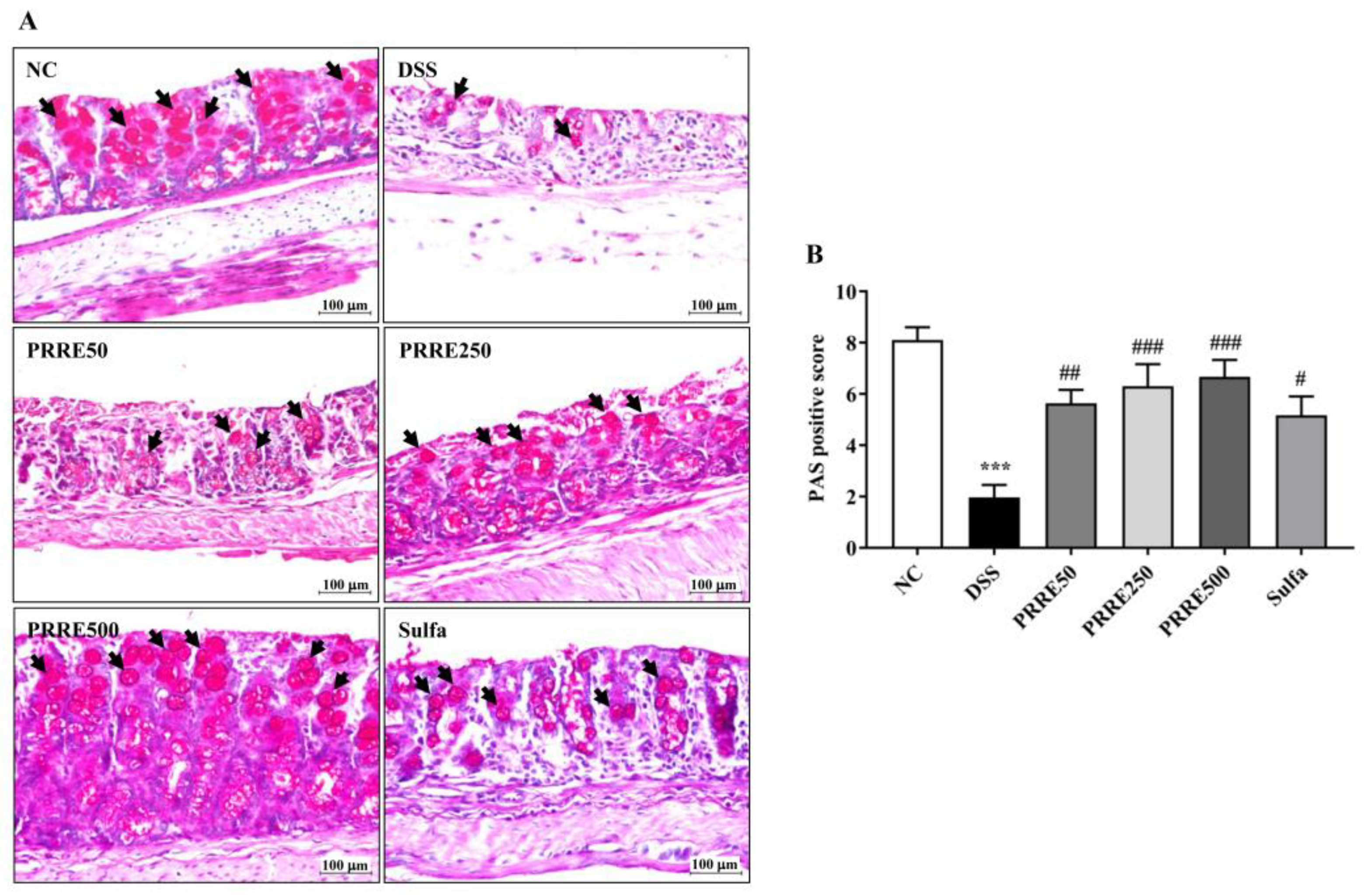 Biomedicines 11 00265 g006 Biomedicines 11 00265 g006