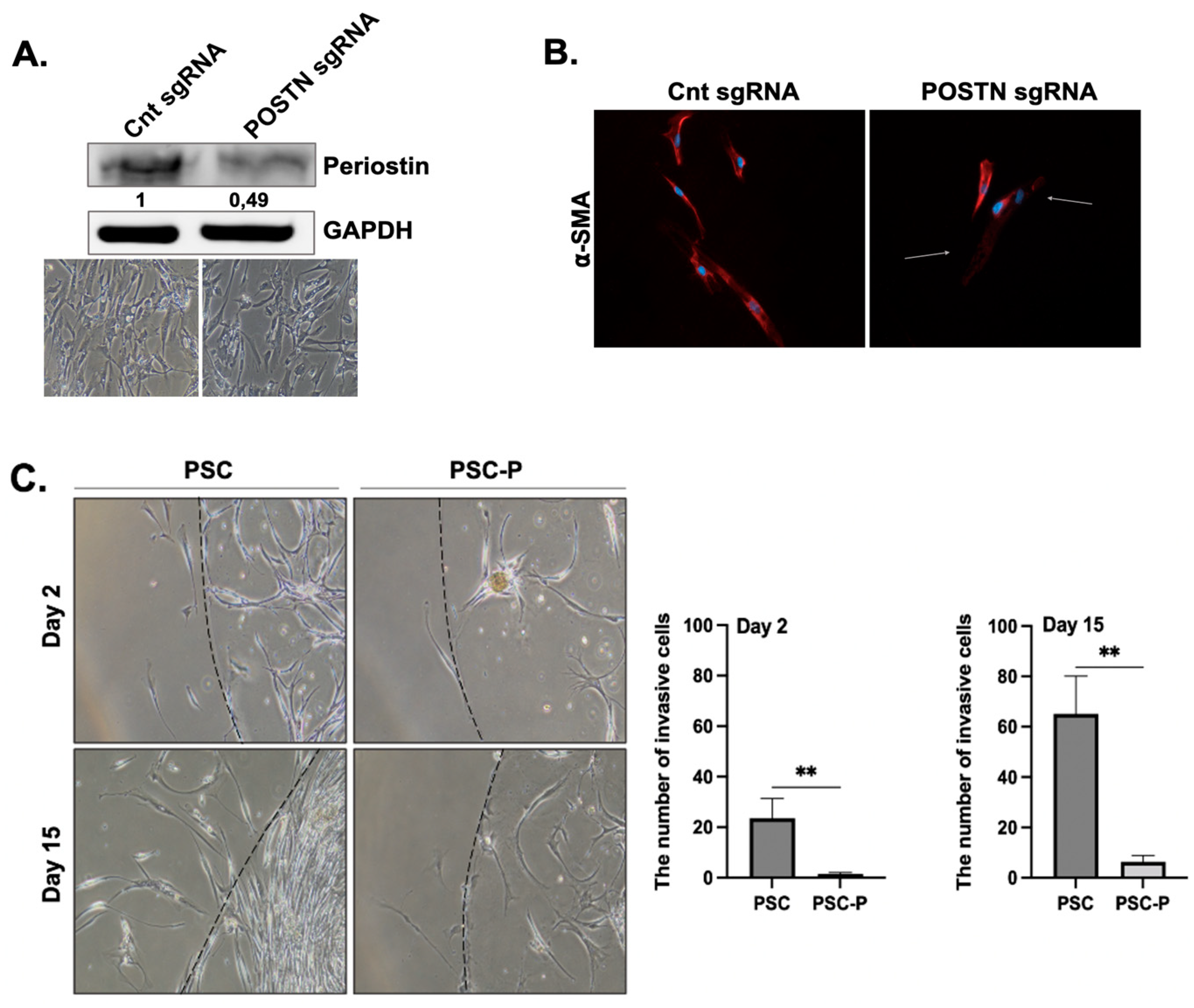 Biomedicines 11 00270 g002a Biomedicines 11 00270 g002a
