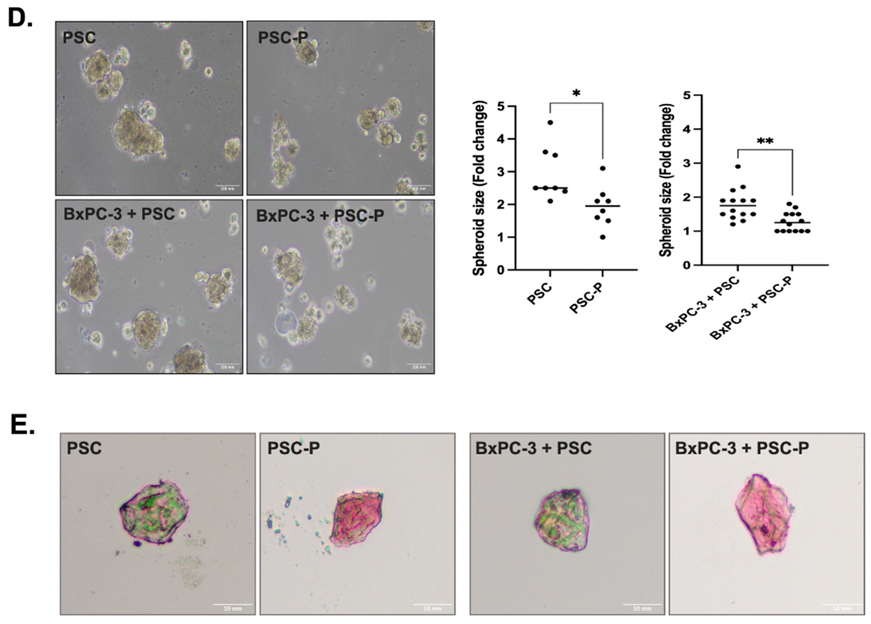 Biomedicines 11 00270 g002b Biomedicines 11 00270 g002b