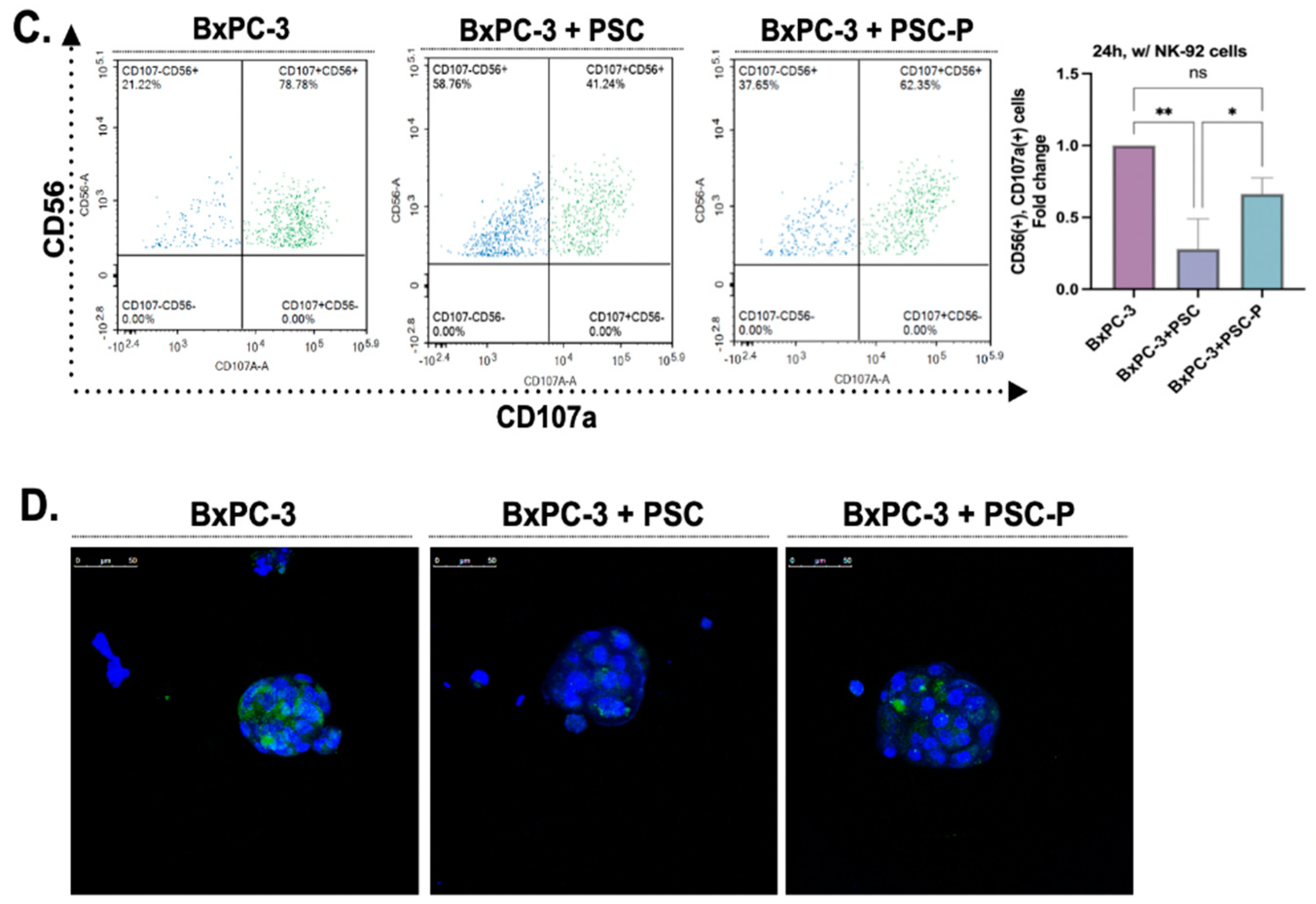 Biomedicines 11 00270 g003b Biomedicines 11 00270 g003b